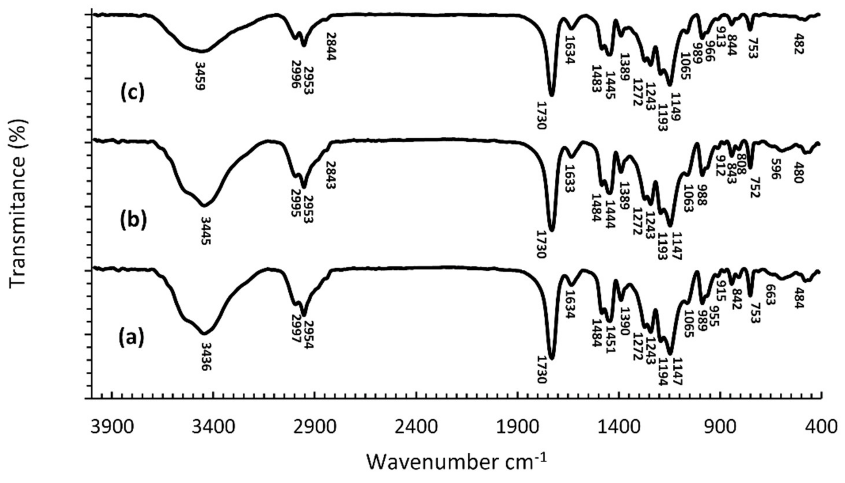 Nanomaterials 12 02453 g003