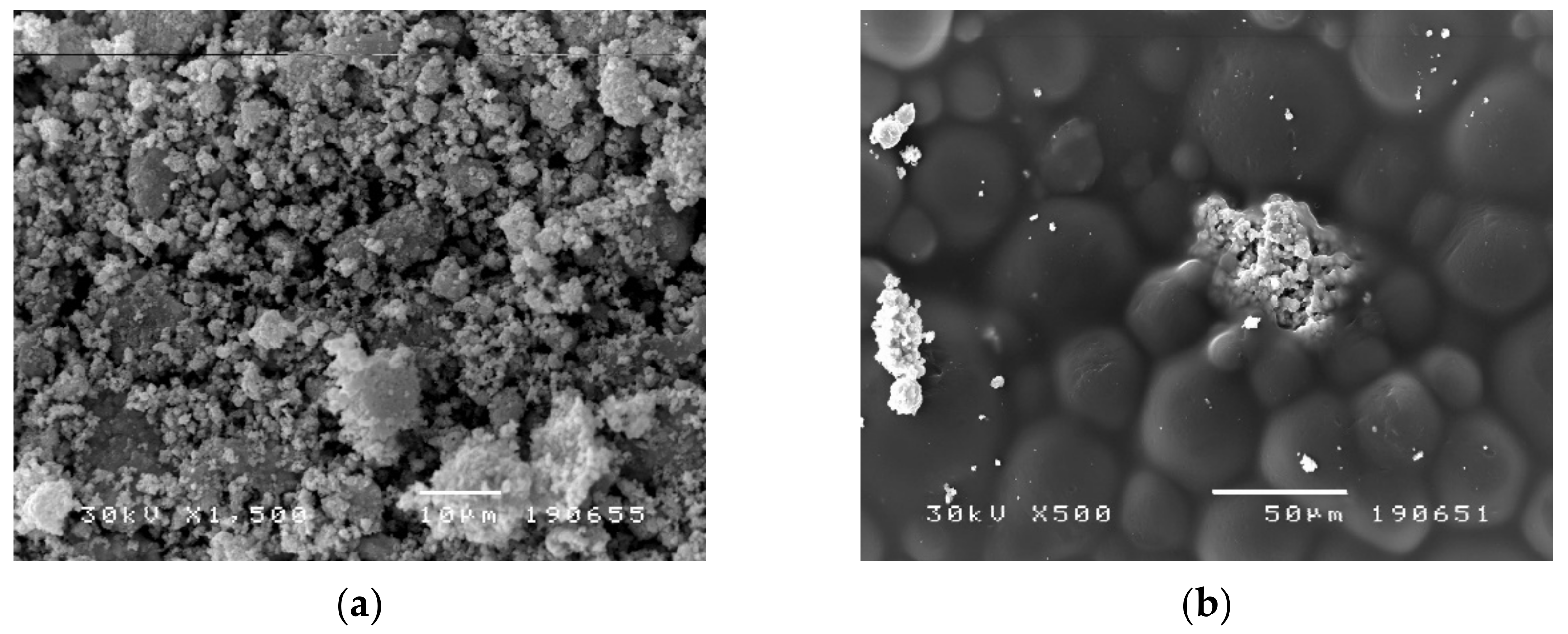 Nanomaterials 12 02453 g005