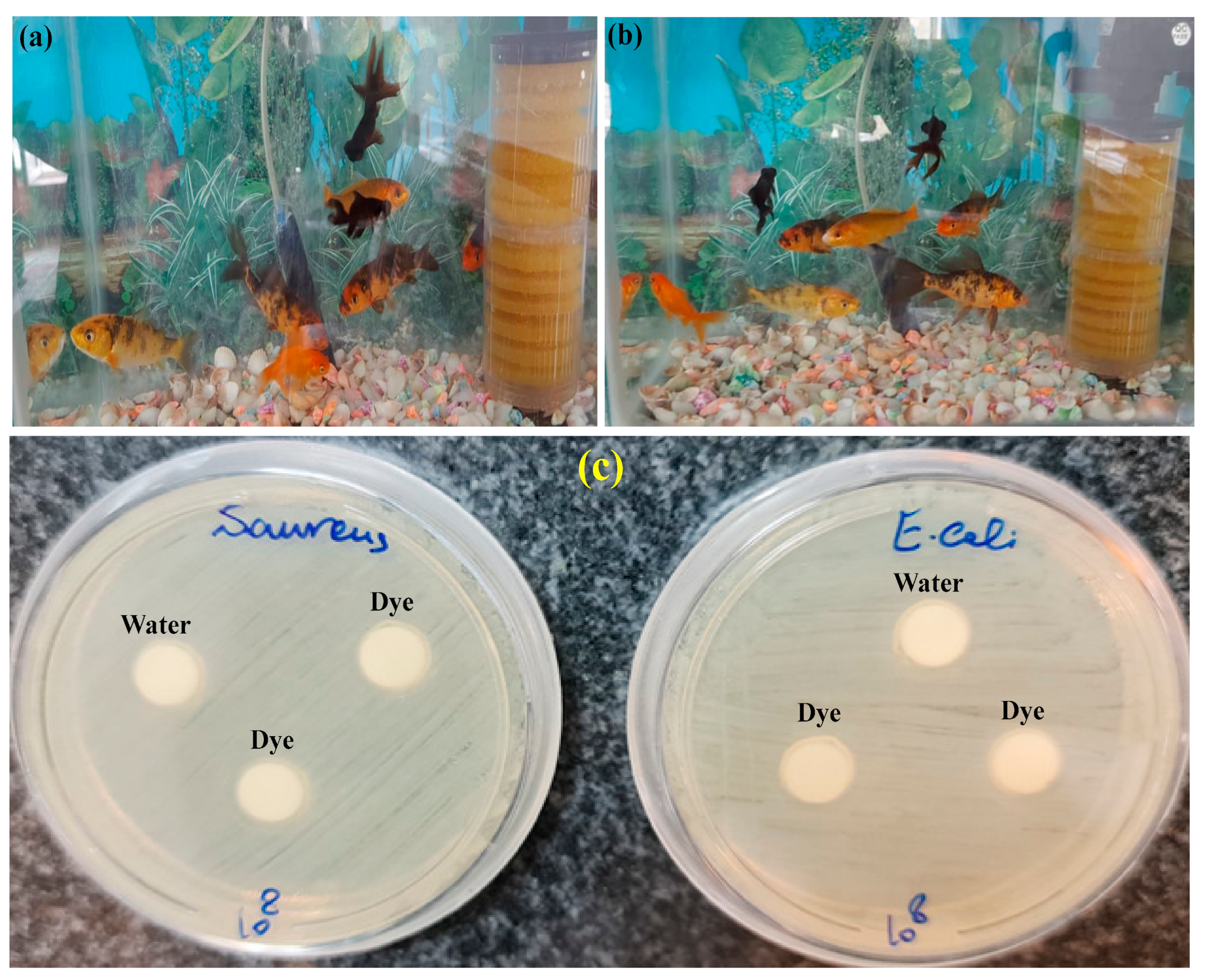 Nanomaterials 12 03103 g009