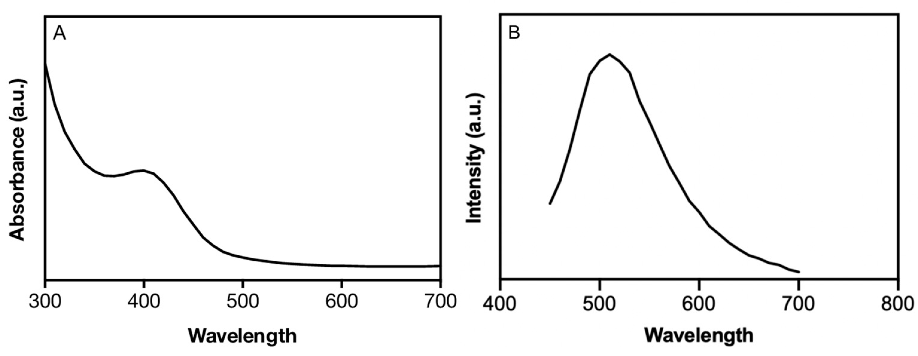 Nanomaterials 12 03194 g001
