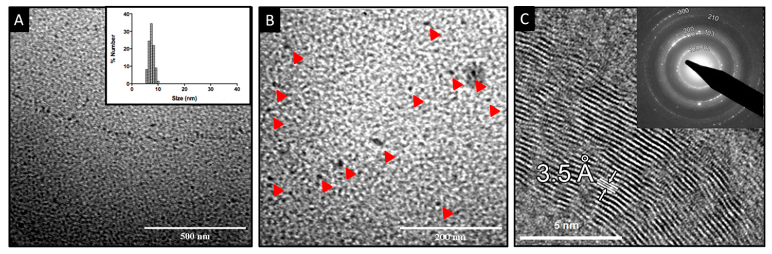 Nanomaterials 12 03194 g003