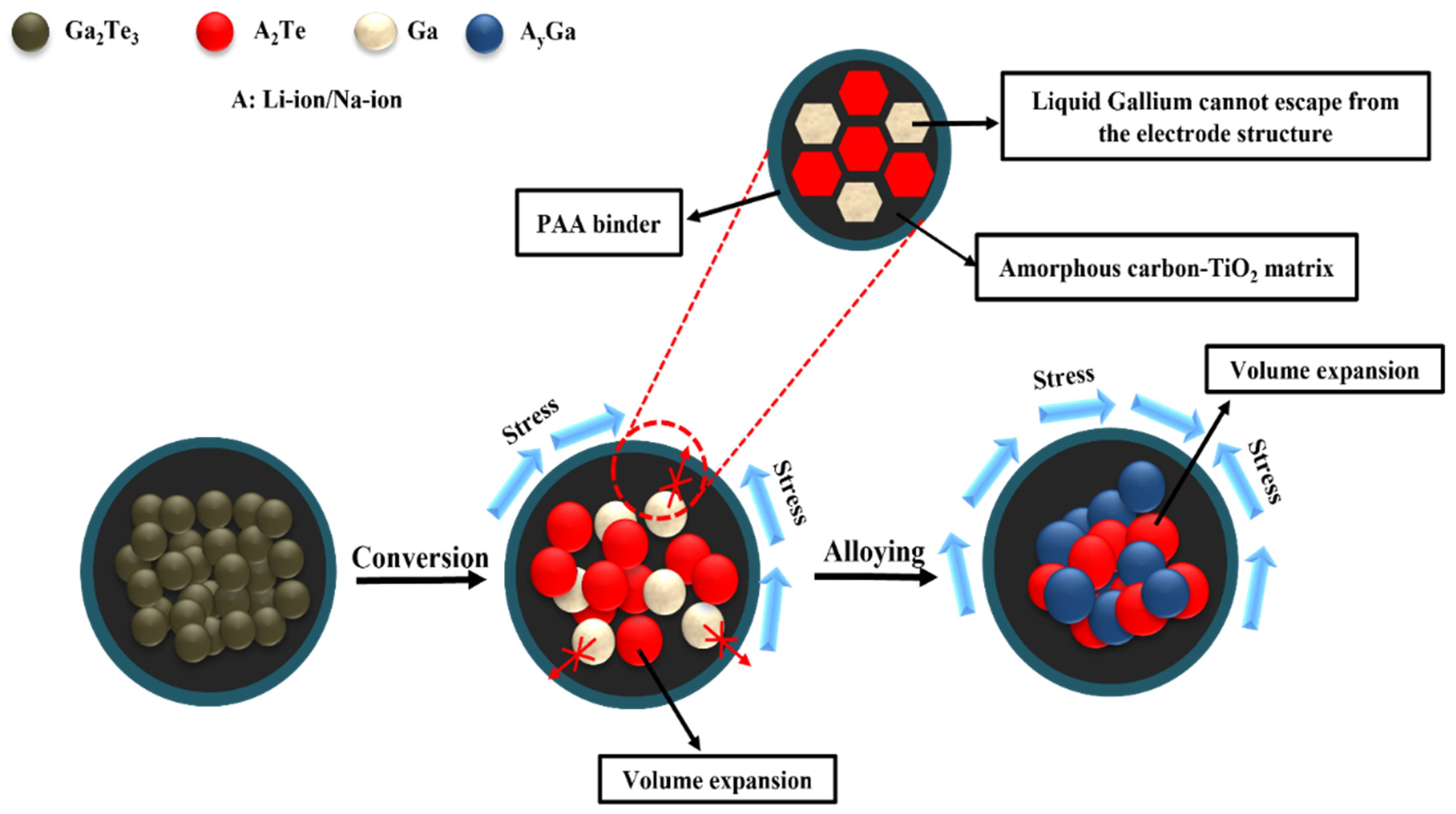 Nanomaterials 12 03362 g007