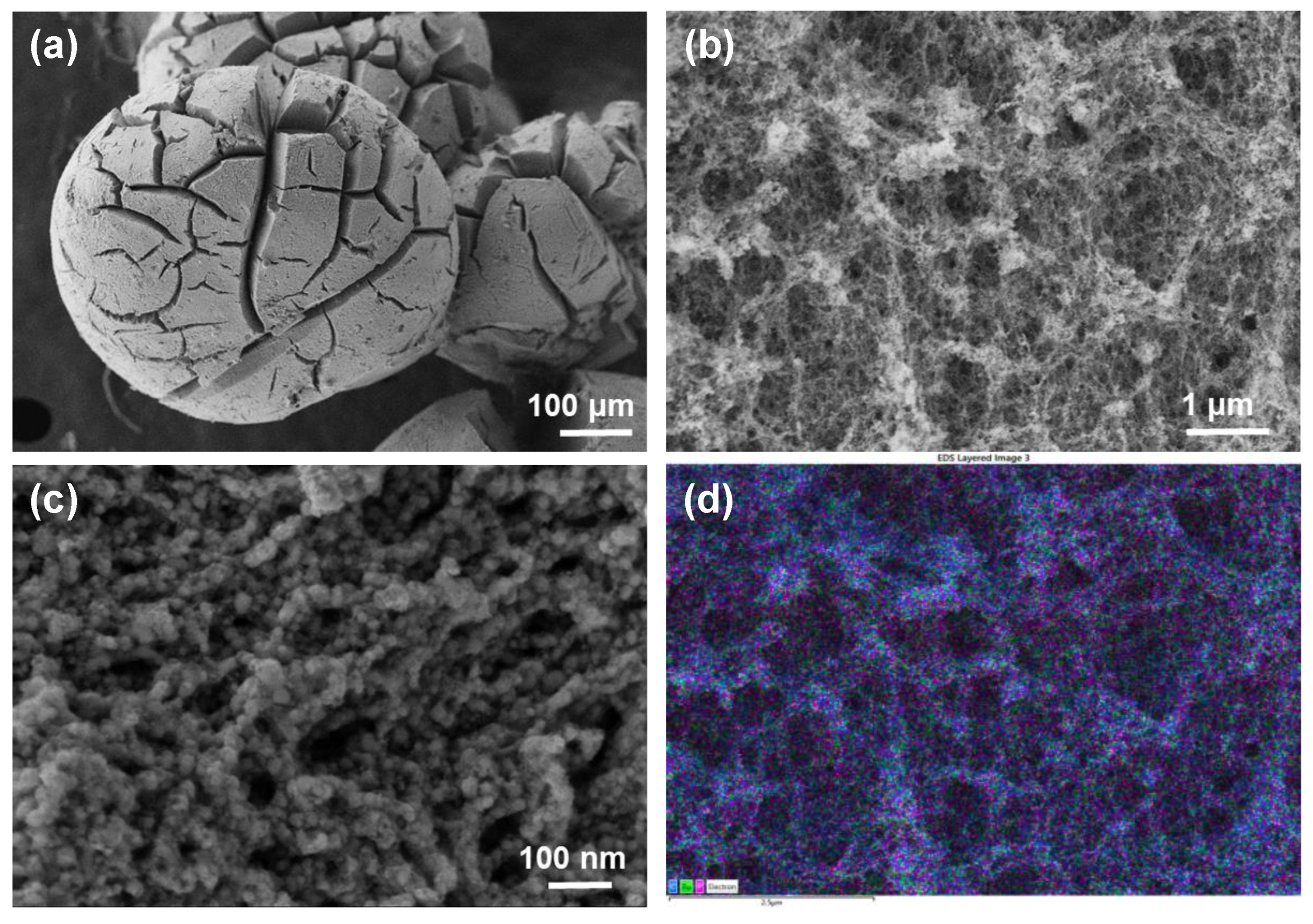 Nanomaterials 12 03597 g001