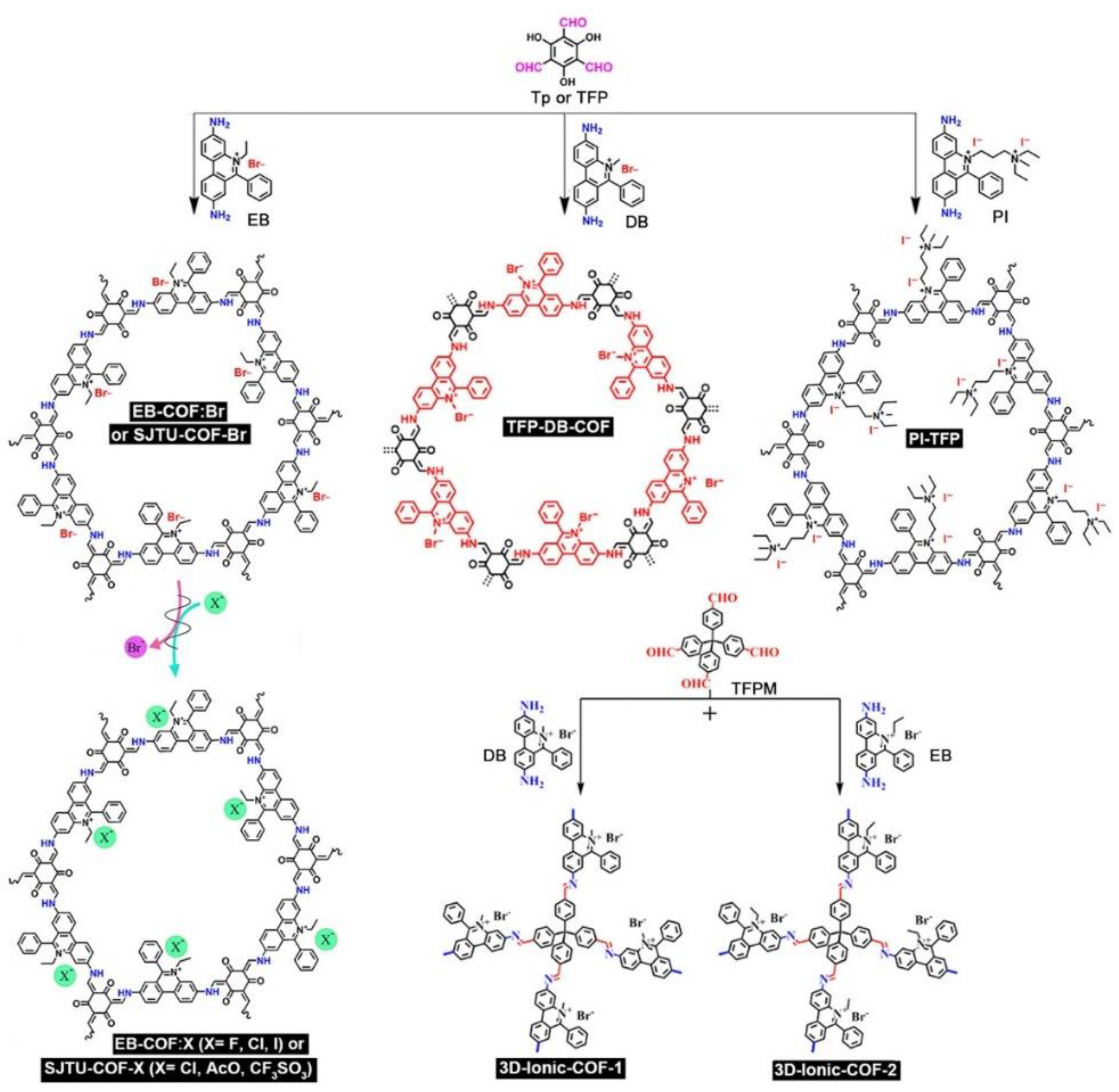 Nanomaterials 12 03615 g003