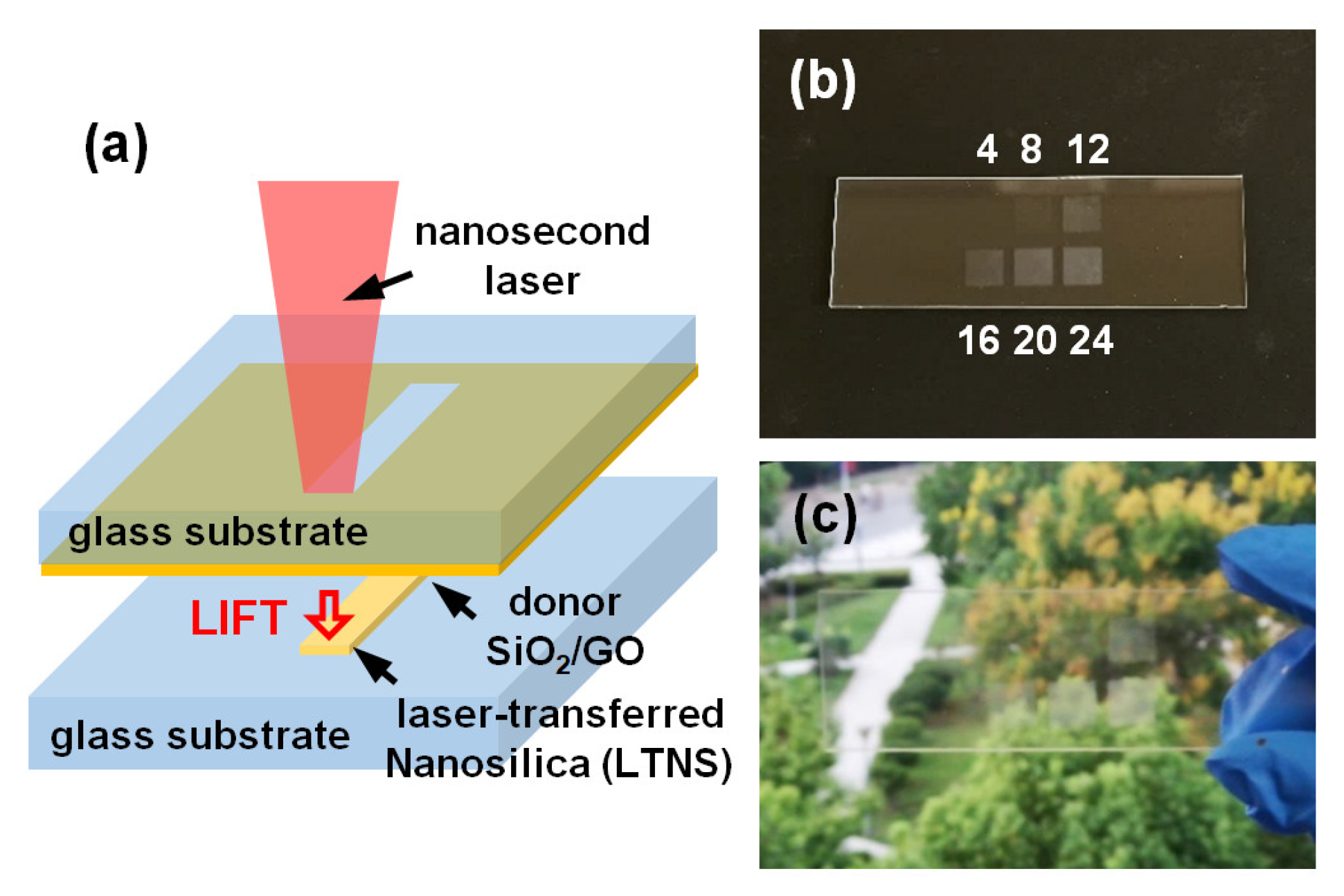 Nanomaterials 12 03674 g001