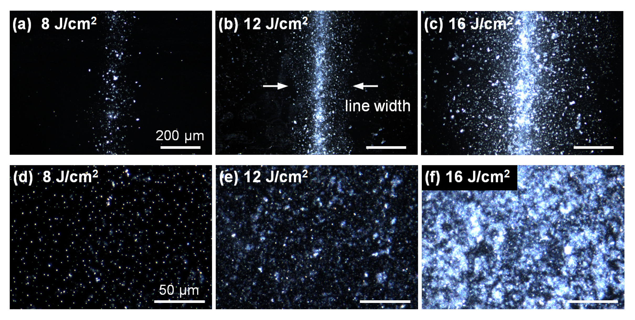 Nanomaterials 12 03674 g002