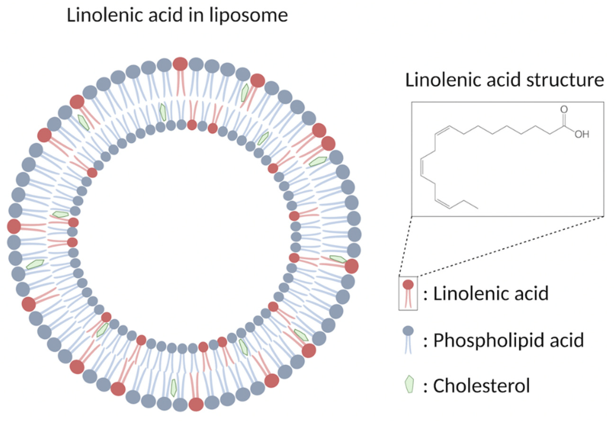 Nanomaterials 12 03855 g002