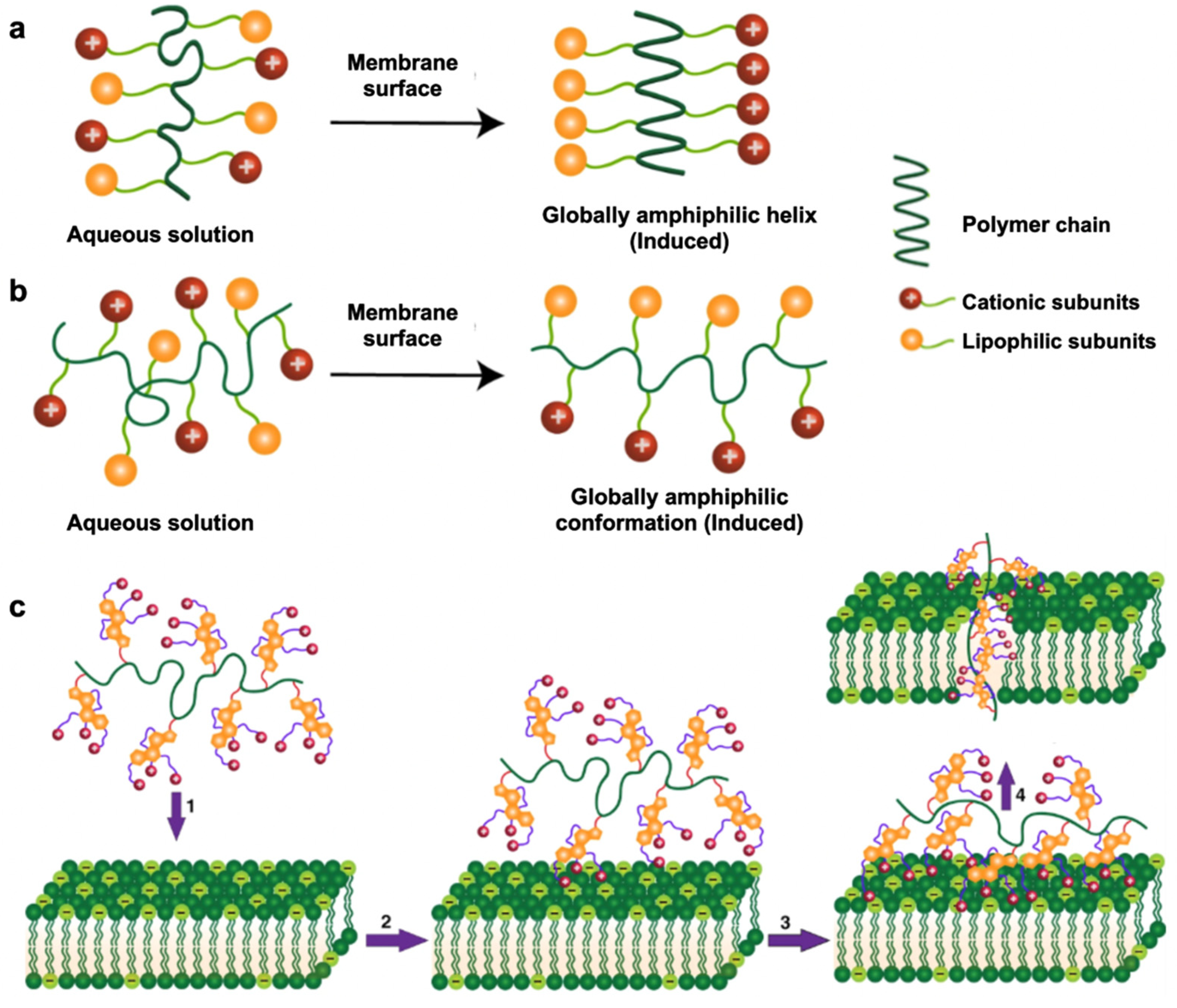 Nanomaterials 12 03855 g003