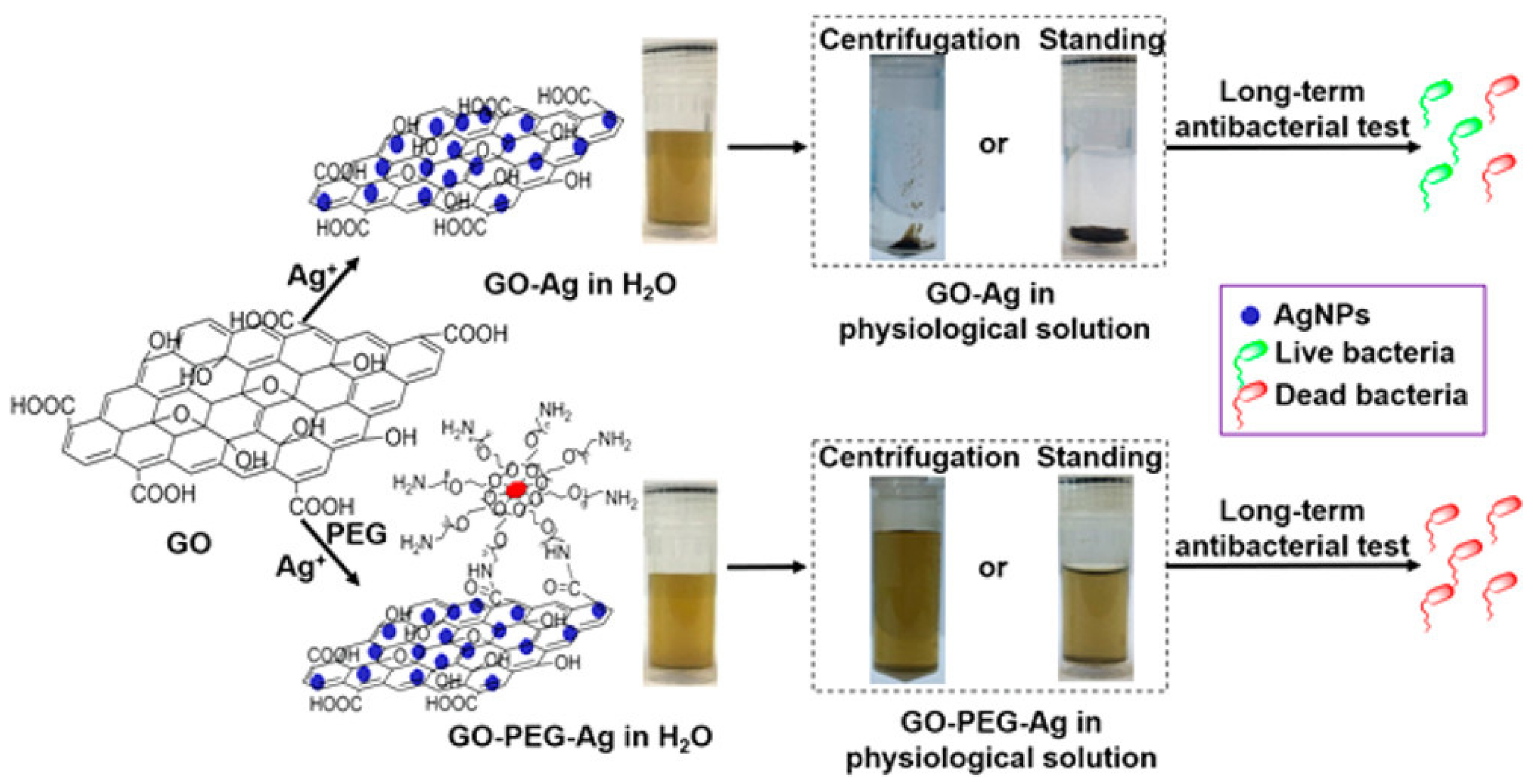 Nanomaterials 12 03855 g008