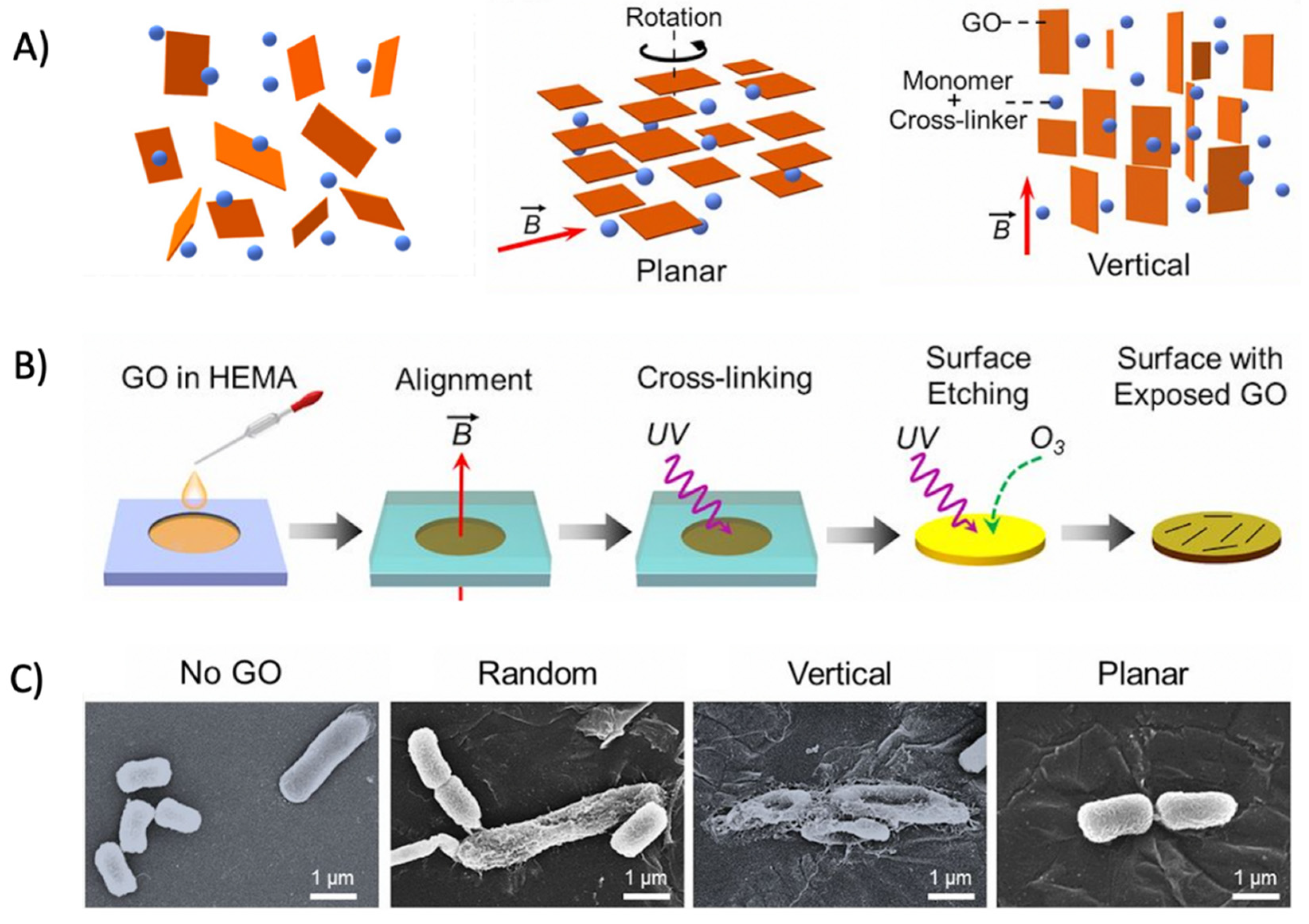 Nanomaterials 12 03855 g009