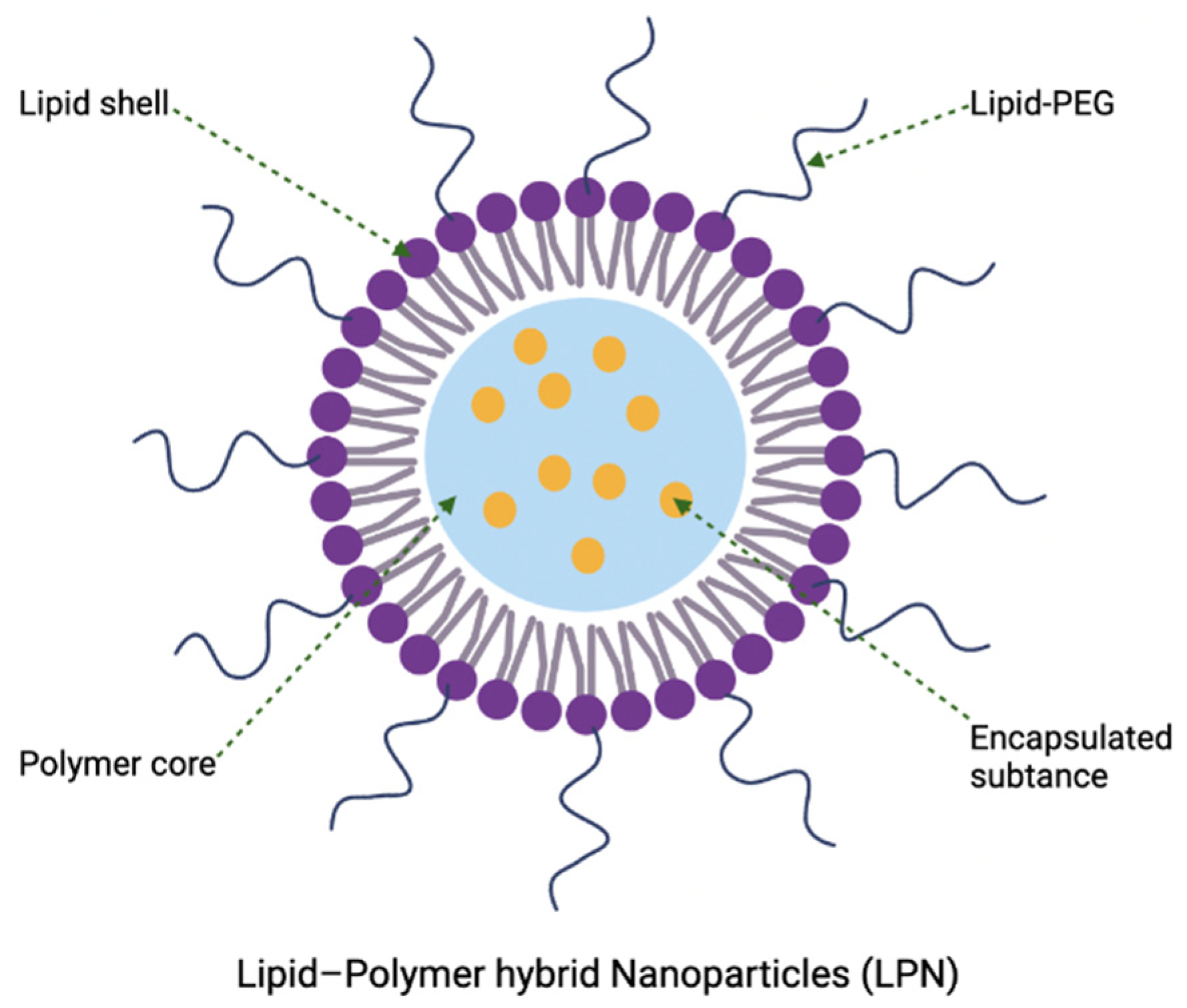 Nanomaterials 12 03855 g011