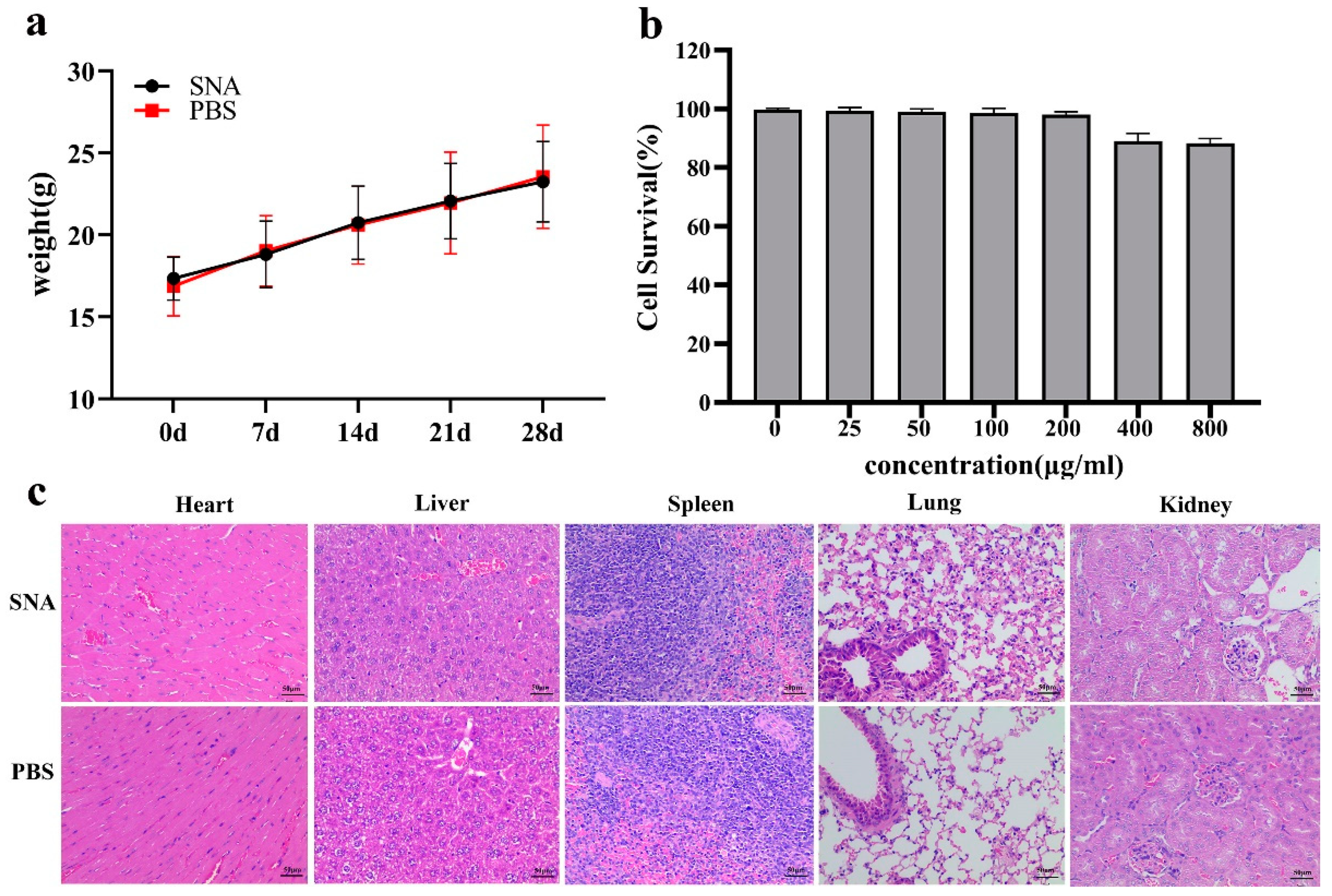 Nanomaterials 12 03934 g005