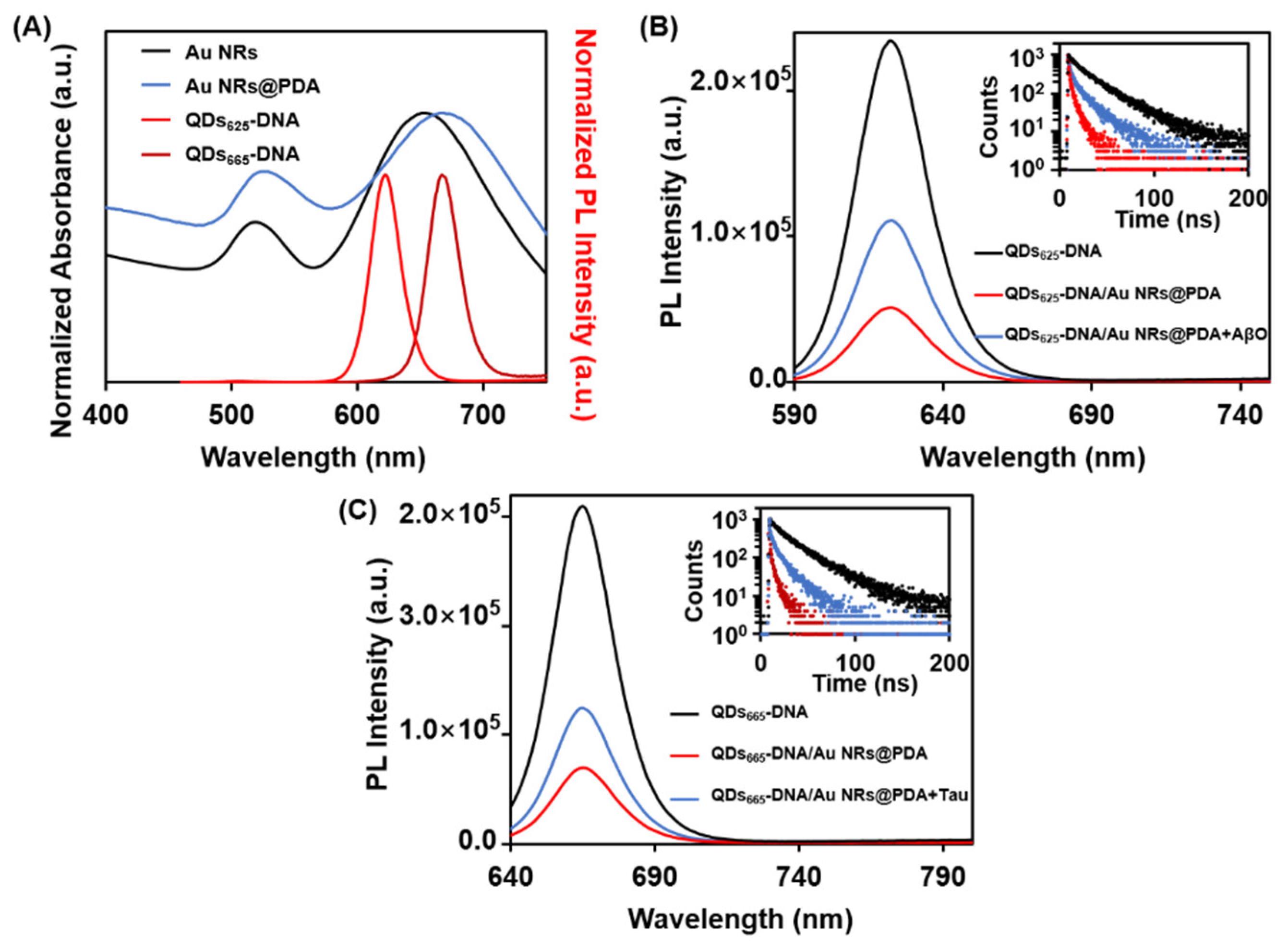 Nanomaterials 12 04031 g002