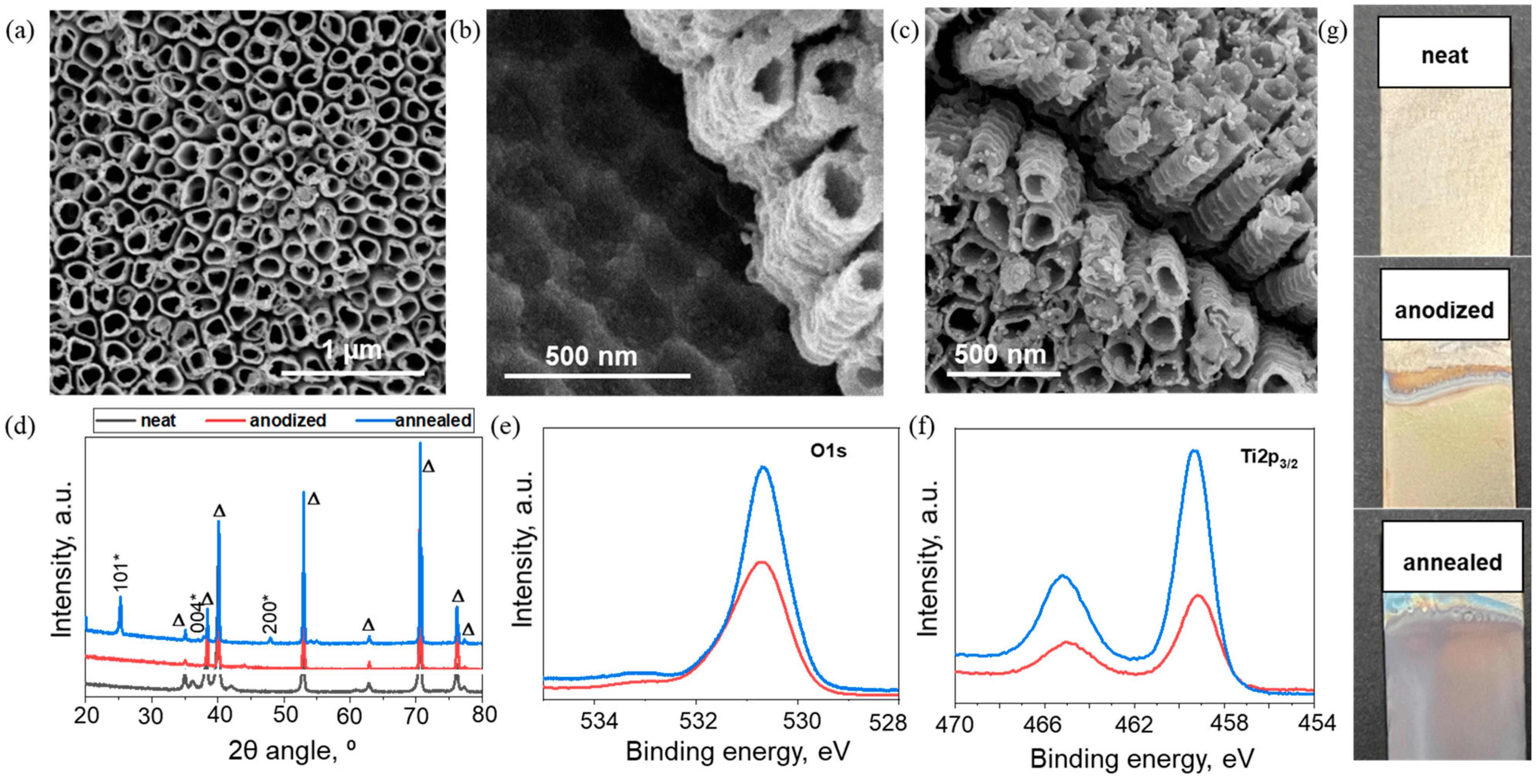 Nanomaterials 13 00639 g001