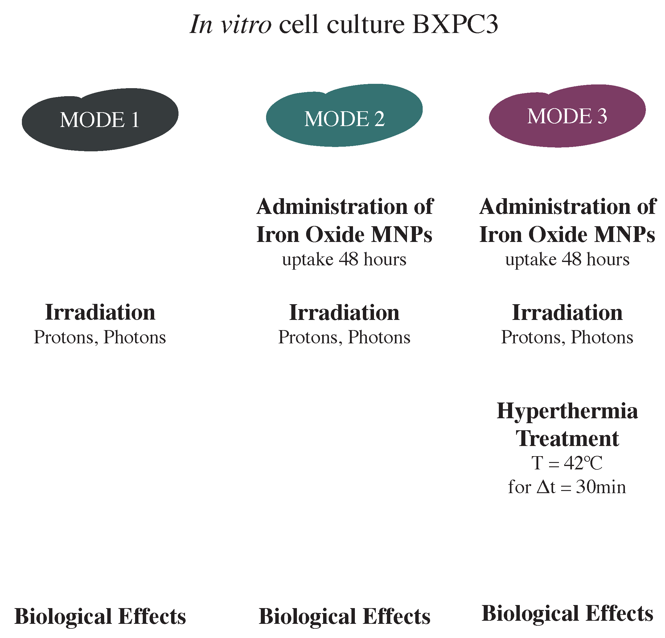 Nanomaterials 13 00791 g001 Nanomaterials 13 00791 g001