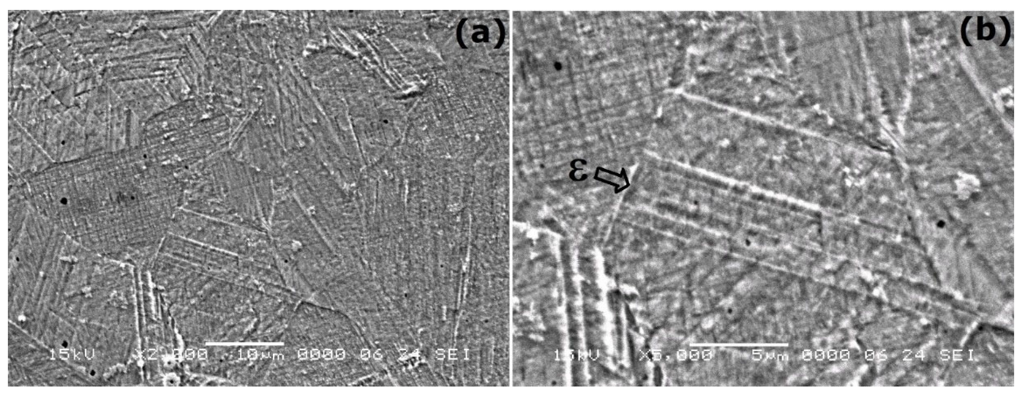 Nanomaterials 13 01250 g004