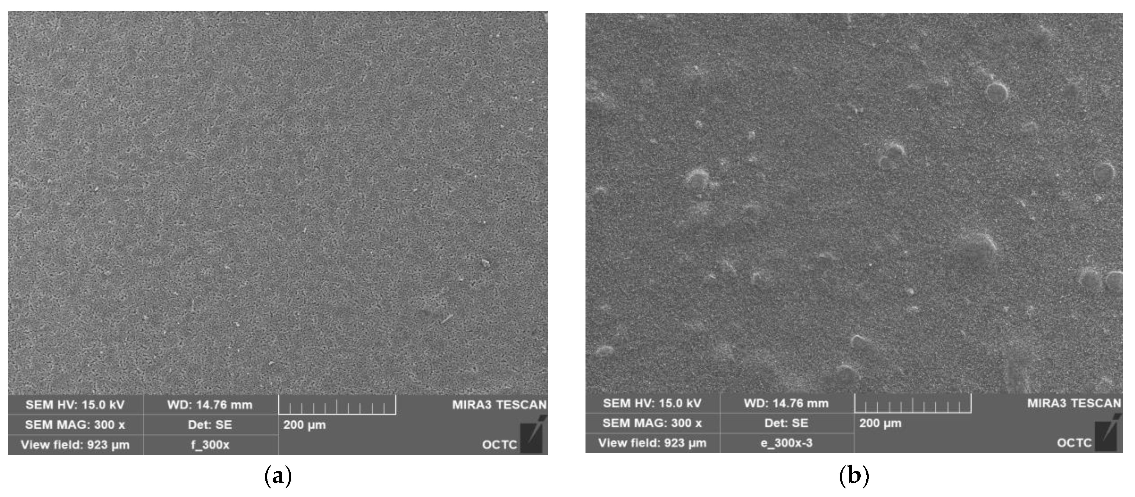 Nanomaterials 13 01289 g004a Nanomaterials 13 01289 g004a