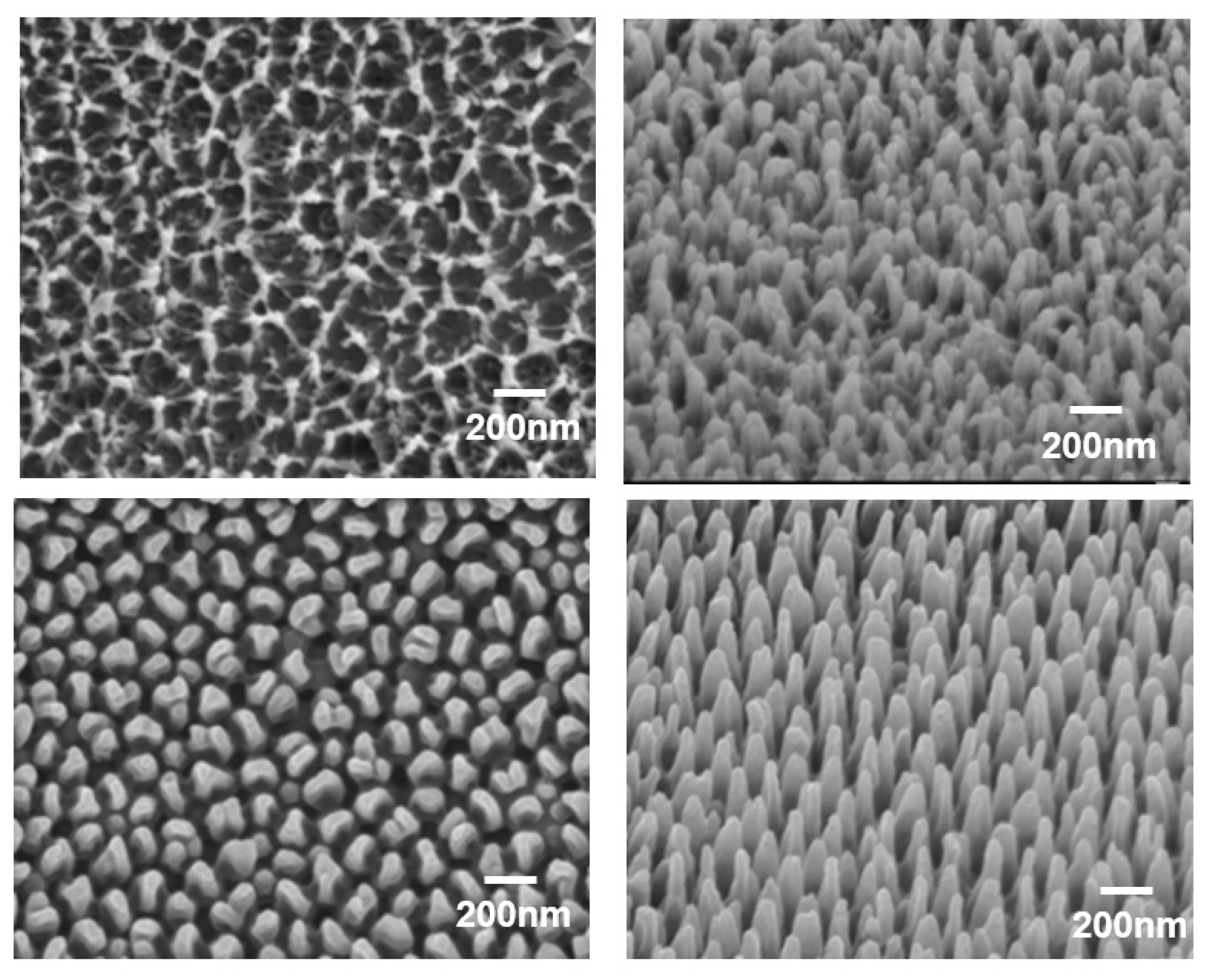 Nanomaterials 13 01591 g007