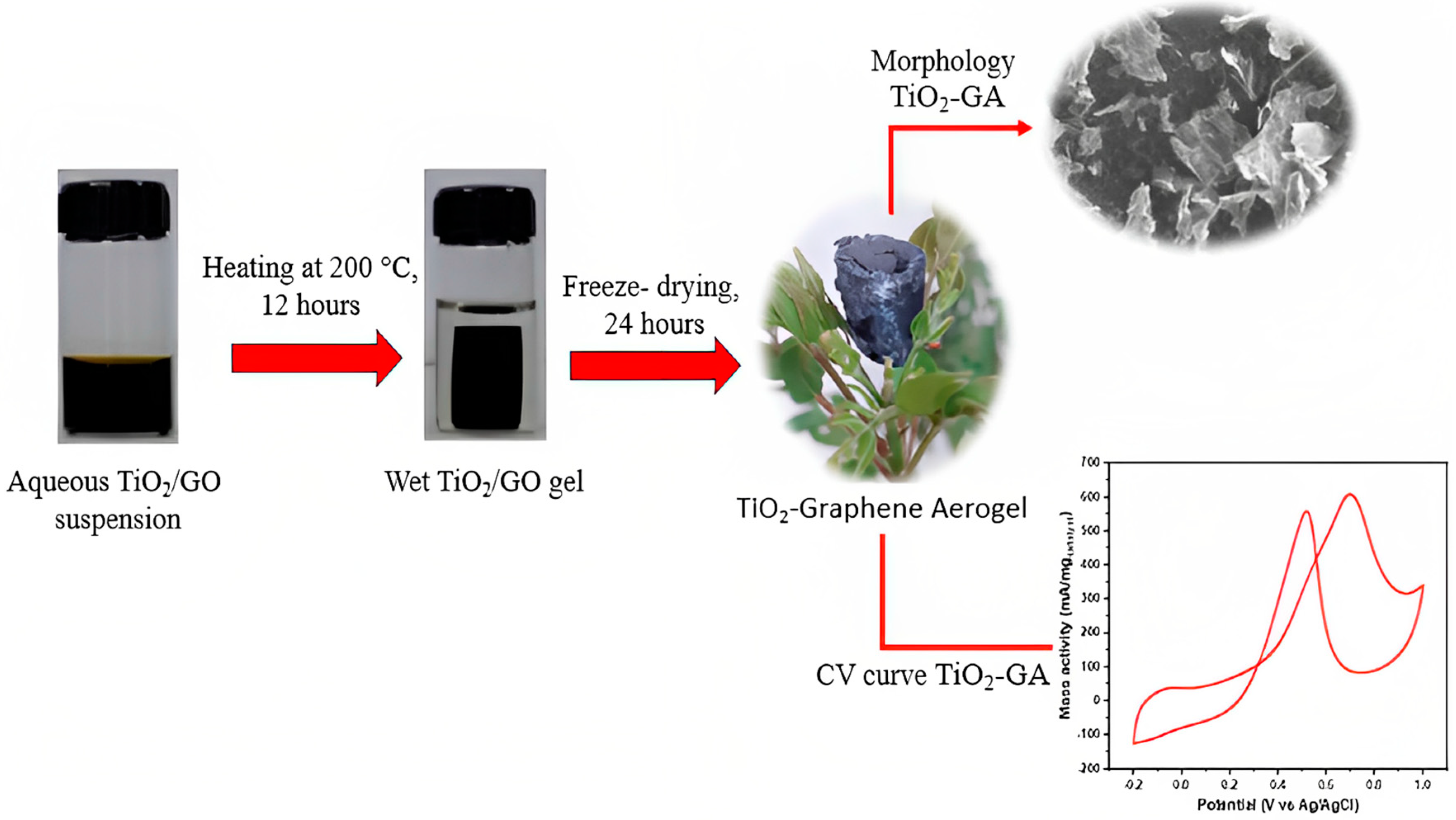 Nanomaterials 13 01819 g001