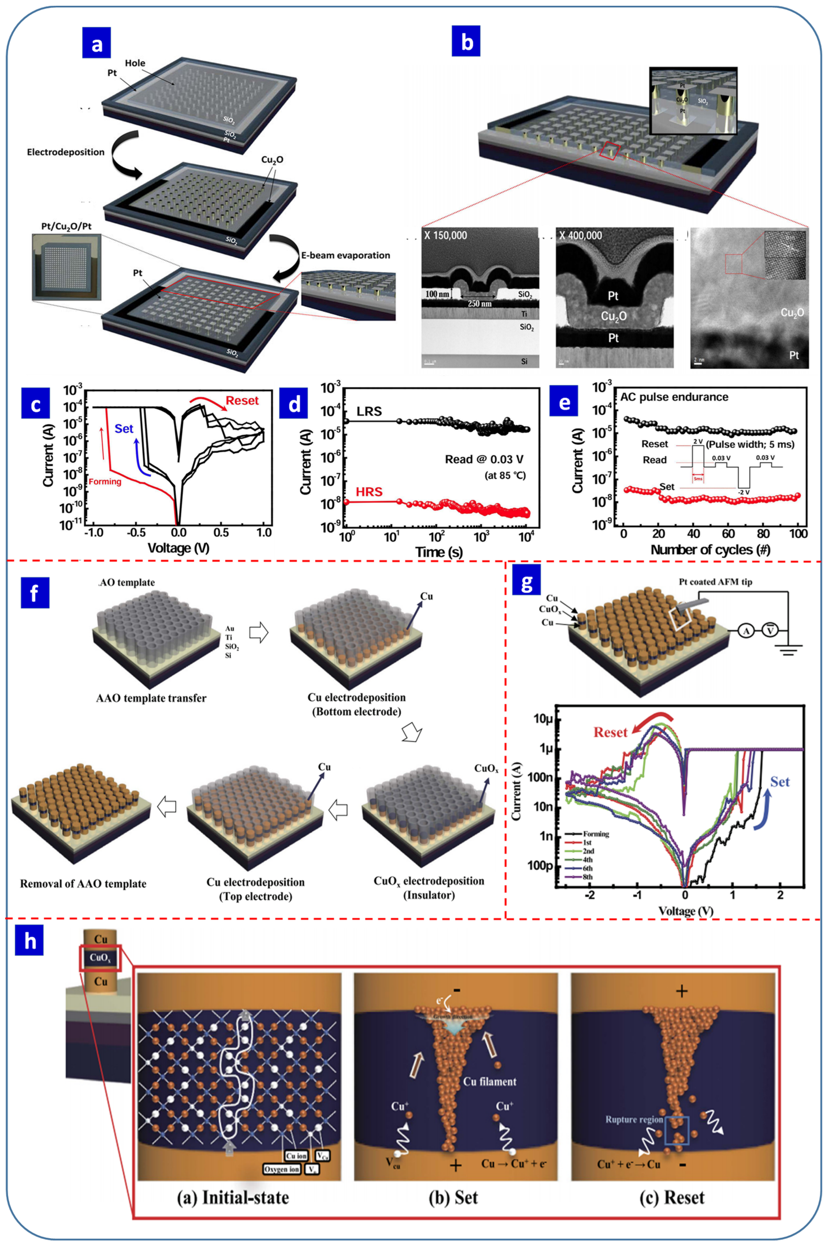 Nanomaterials 13 01879 g010
