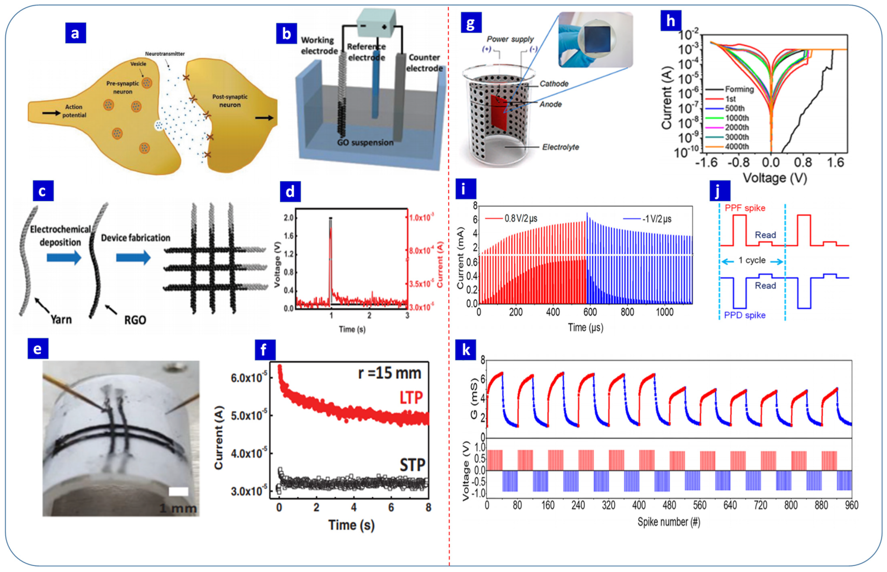 Nanomaterials 13 01879 g012