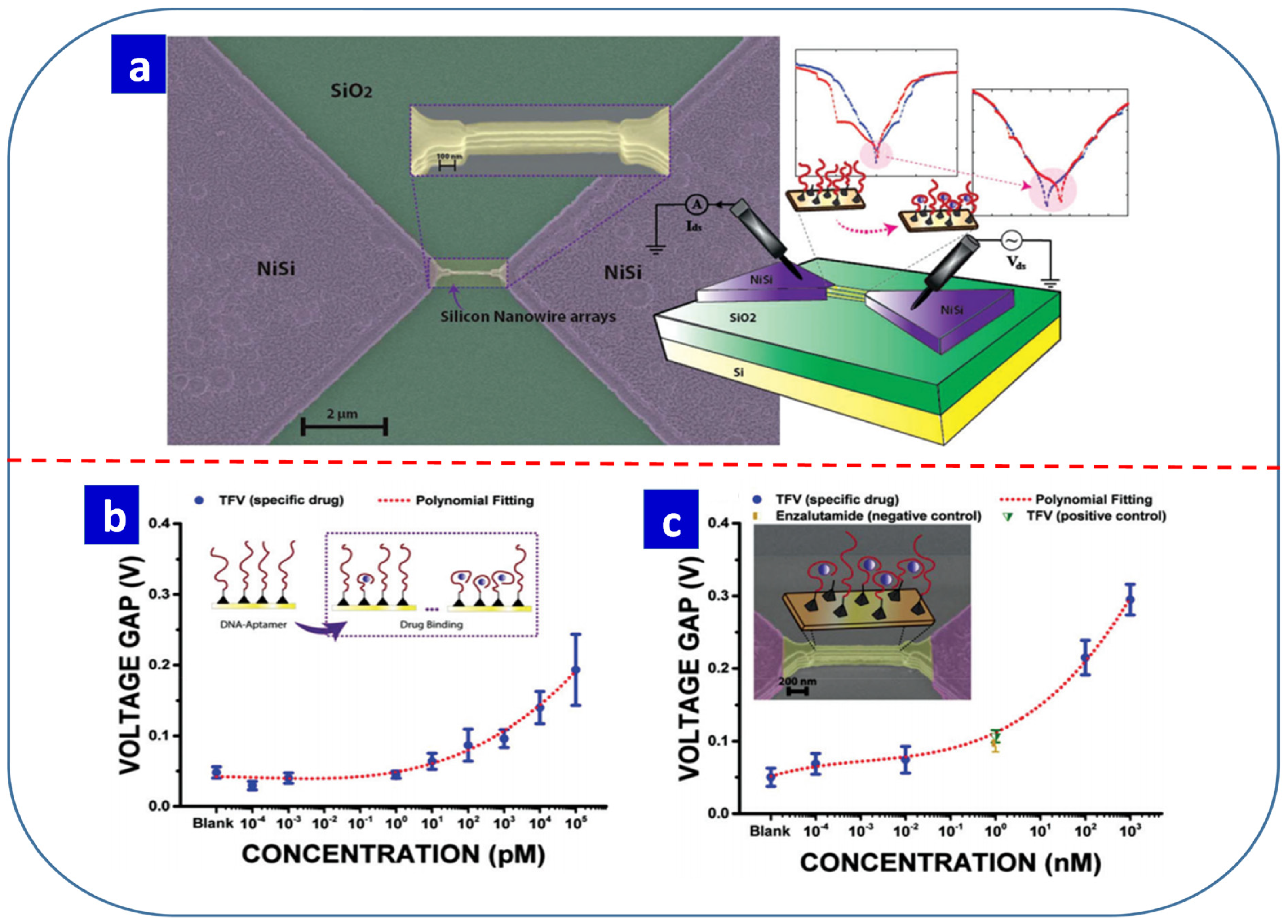 Nanomaterials 13 01879 g013