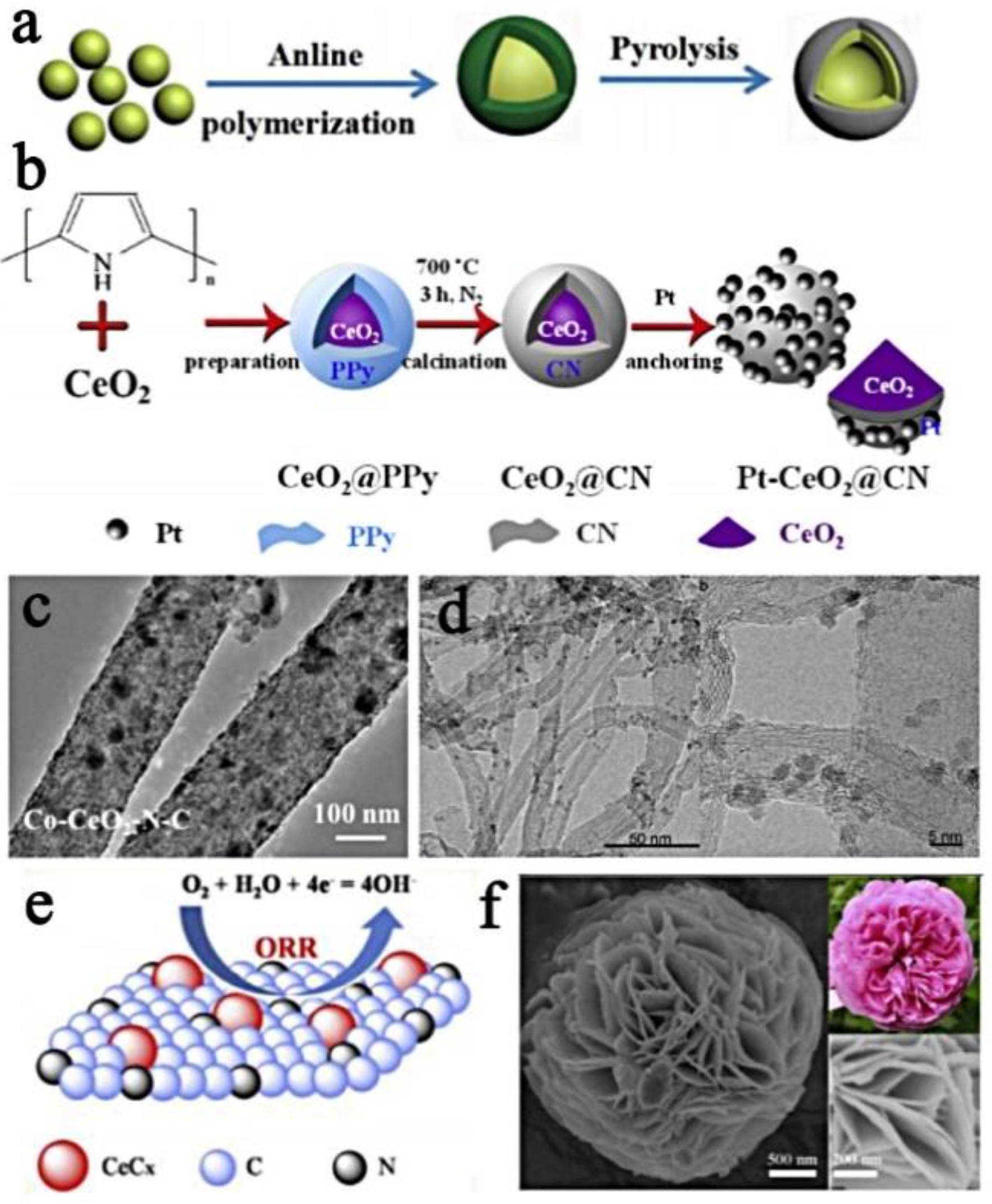 Nanomaterials 13 01921 g003
