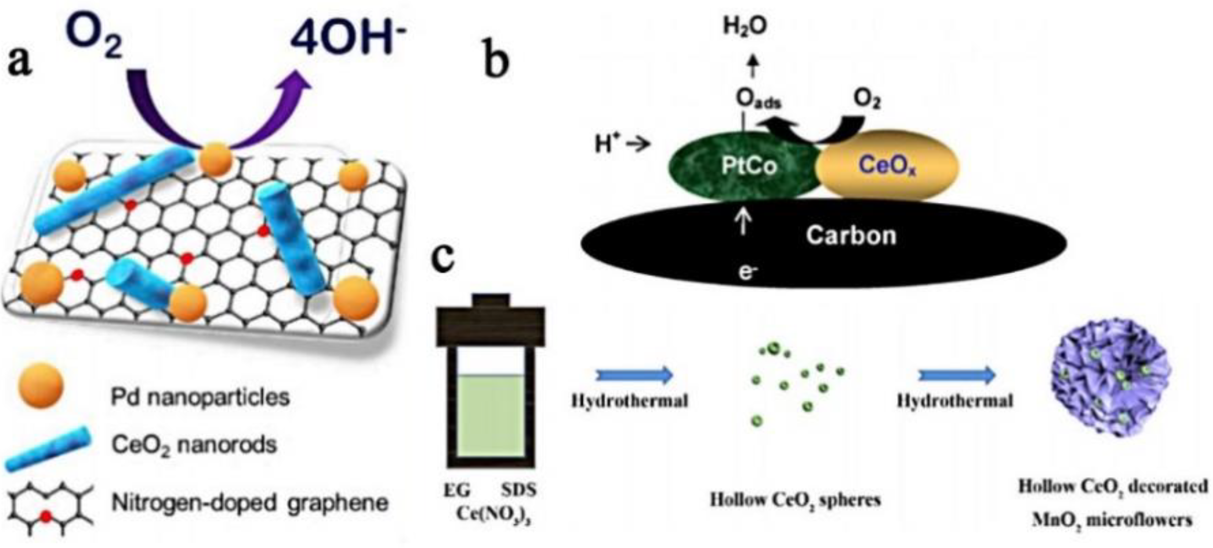 Nanomaterials 13 01921 g005