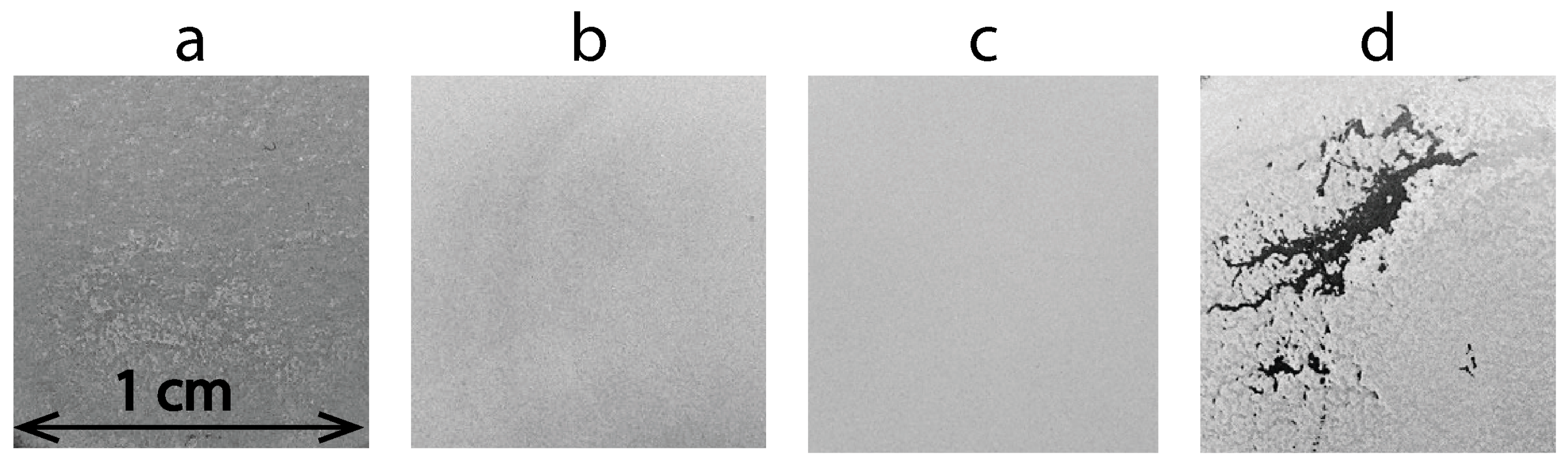 Nanomaterials 13 02030 g002