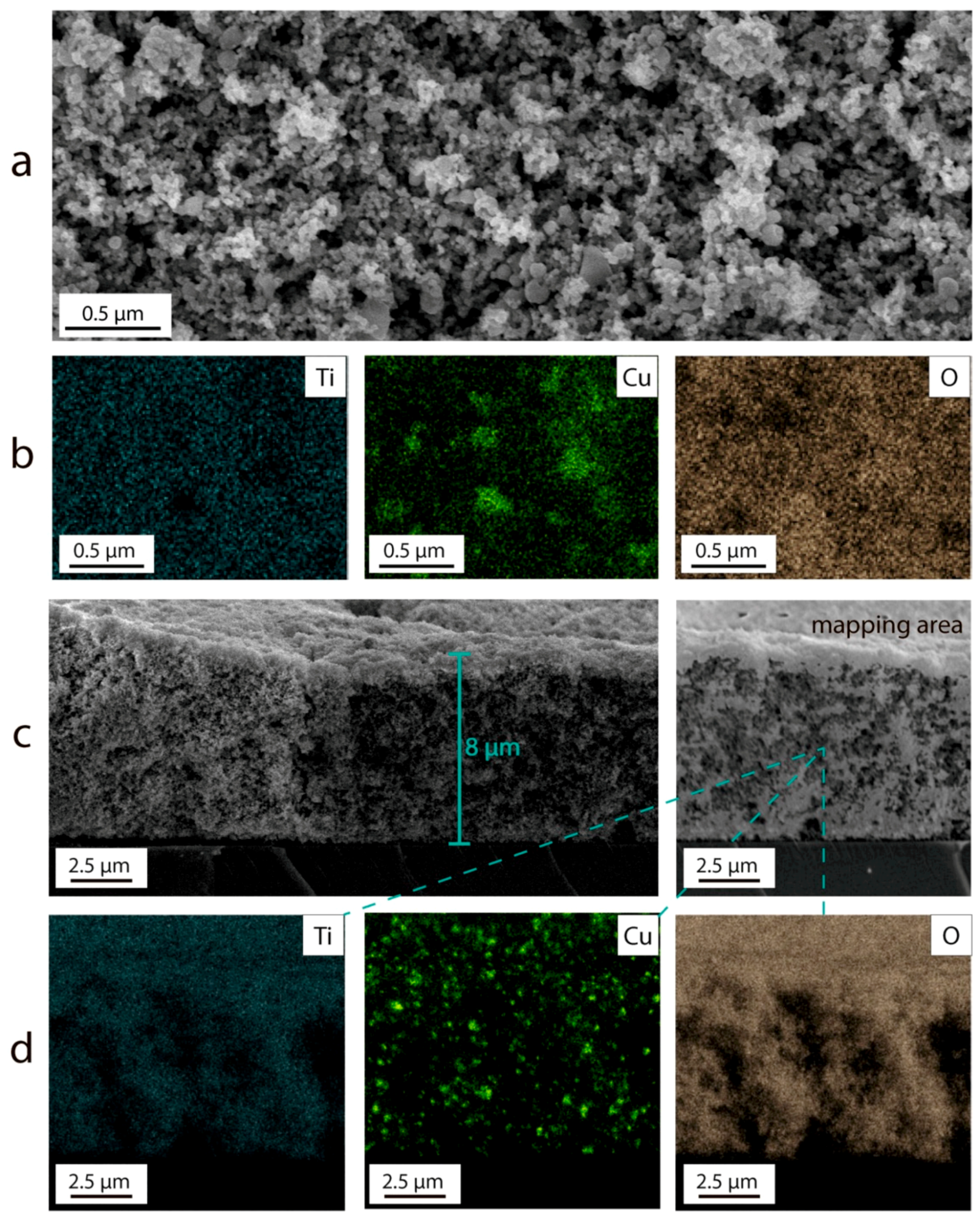 Nanomaterials 13 02030 g003