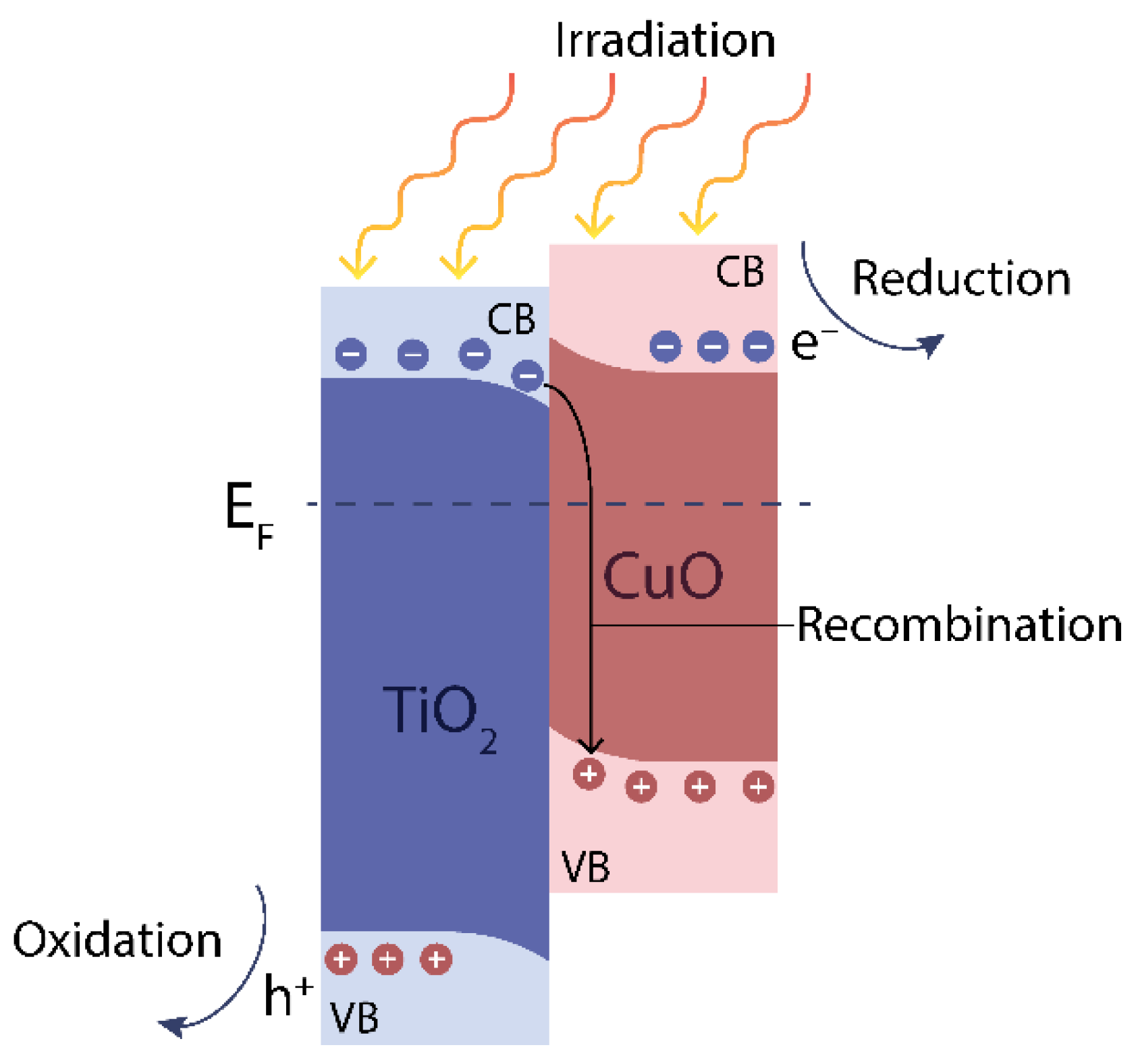 Nanomaterials 13 02030 g010