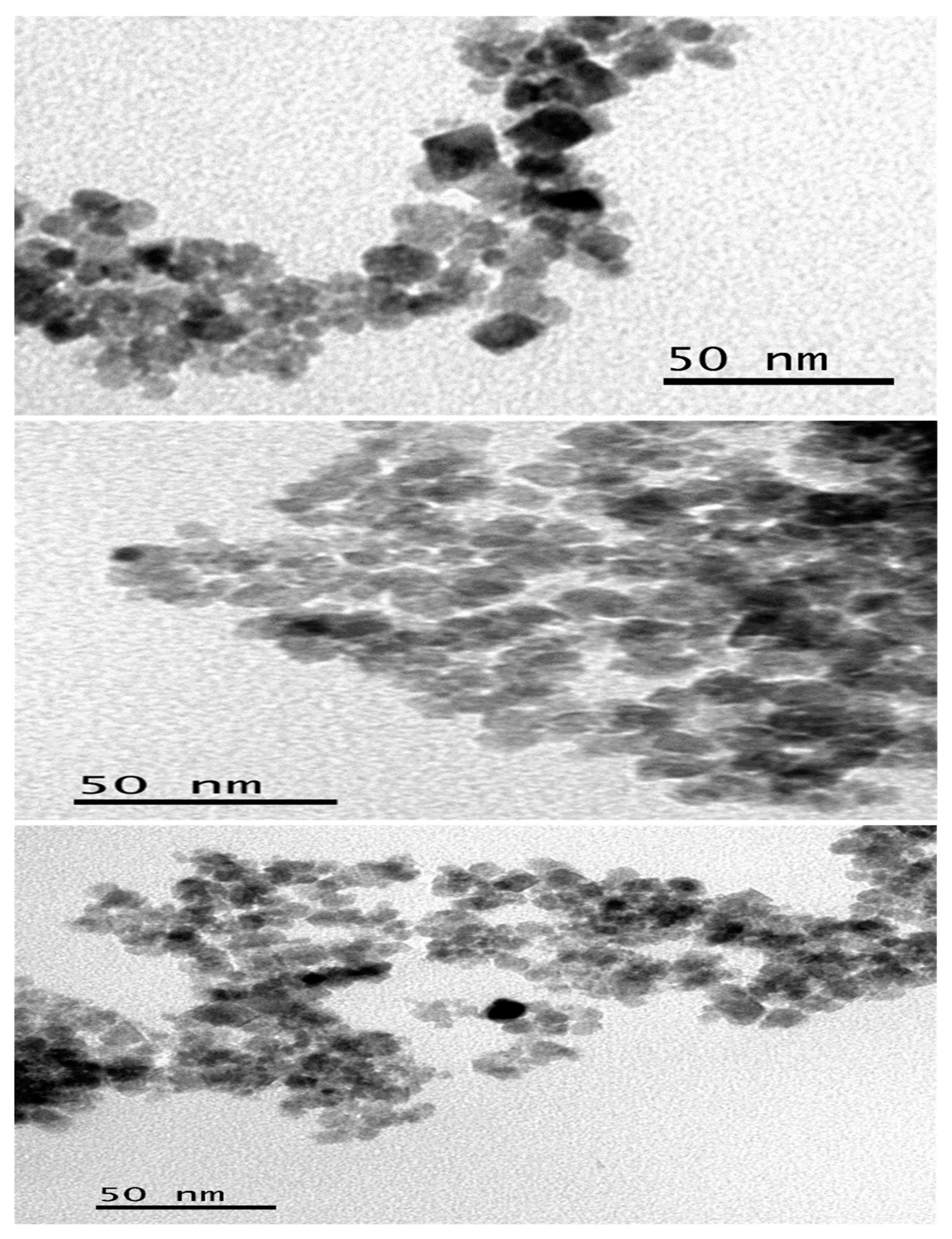 Nanomaterials 13 02067 g002 Nanomaterials 13 02067 g002