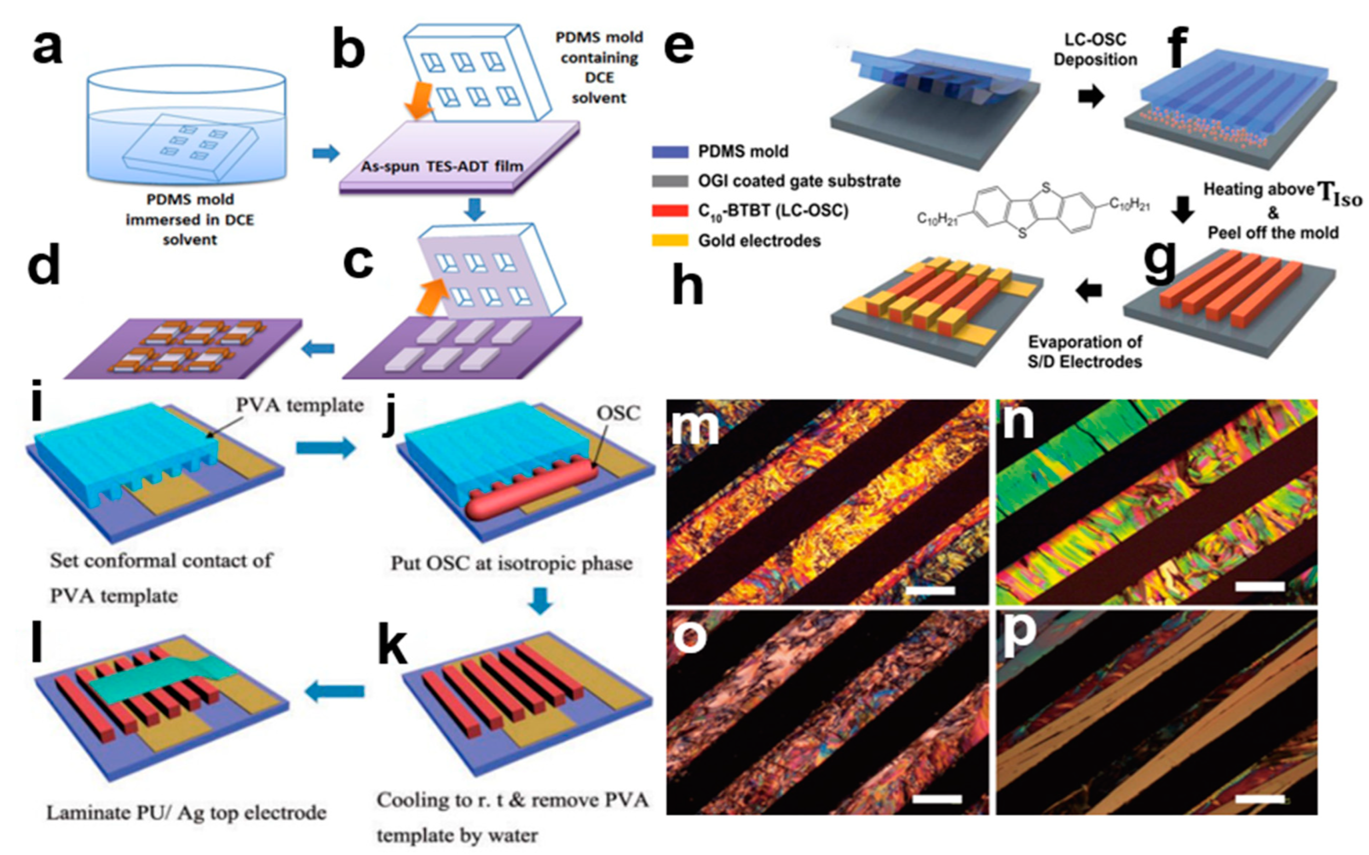 Nanomaterials 13 02087 g004