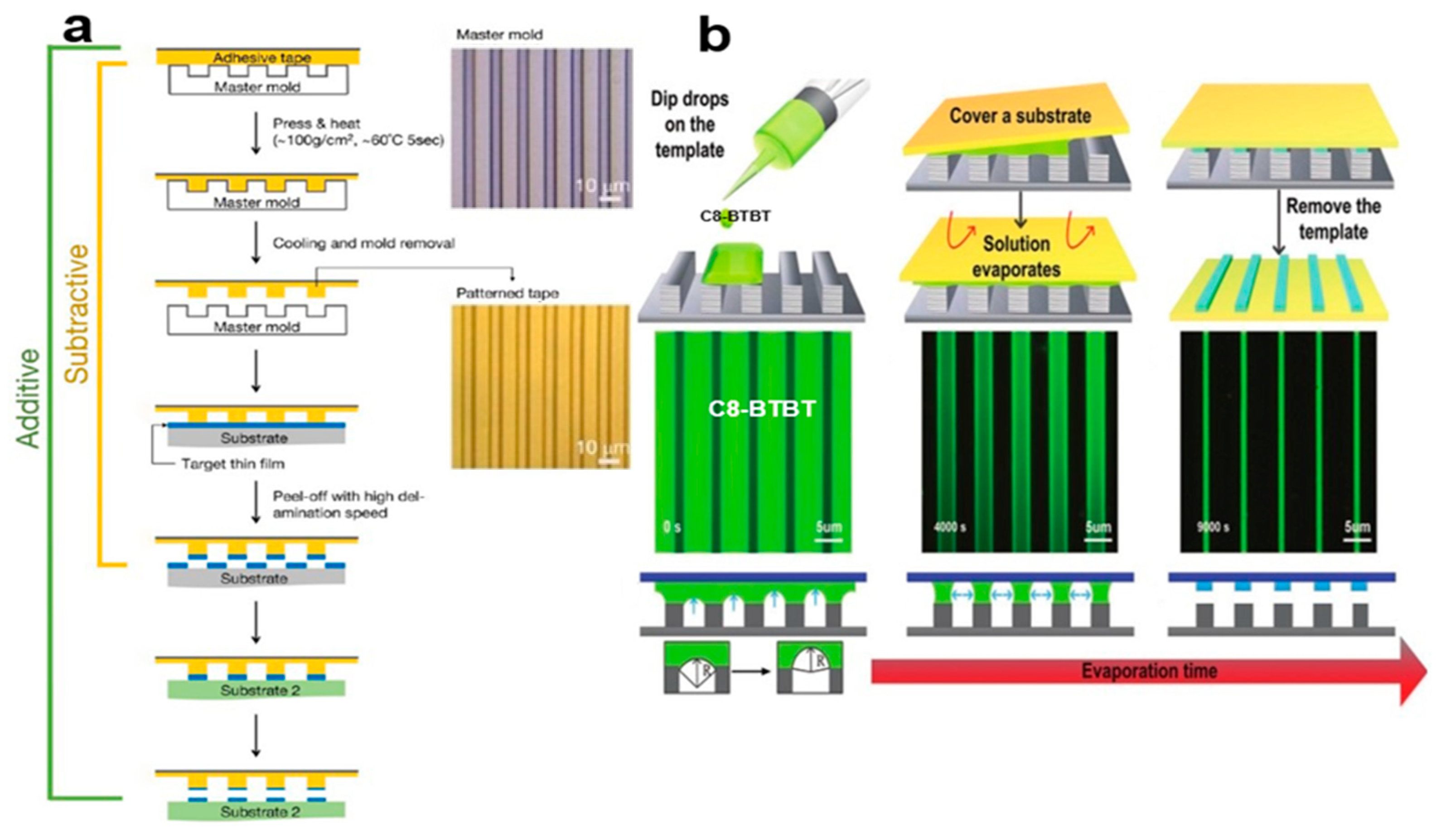 Nanomaterials 13 02087 g005