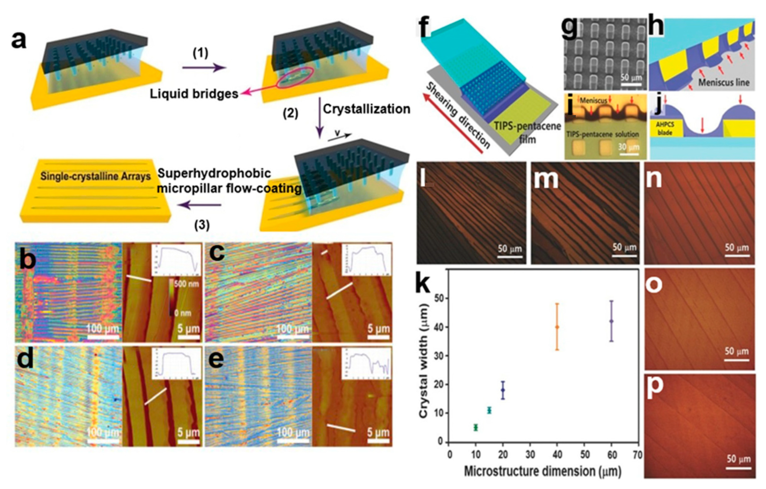 Nanomaterials 13 02087 g007