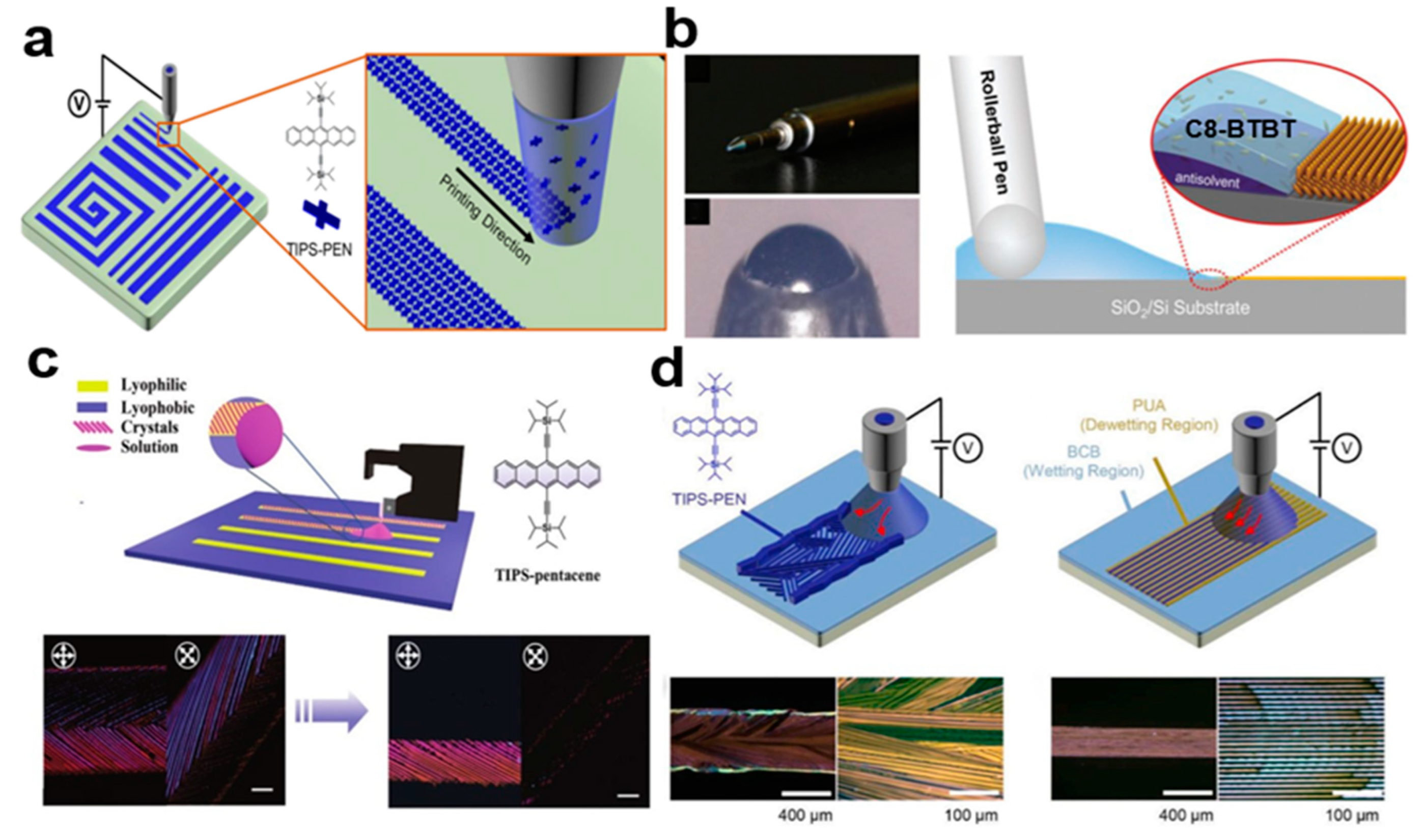 Nanomaterials 13 02087 g008