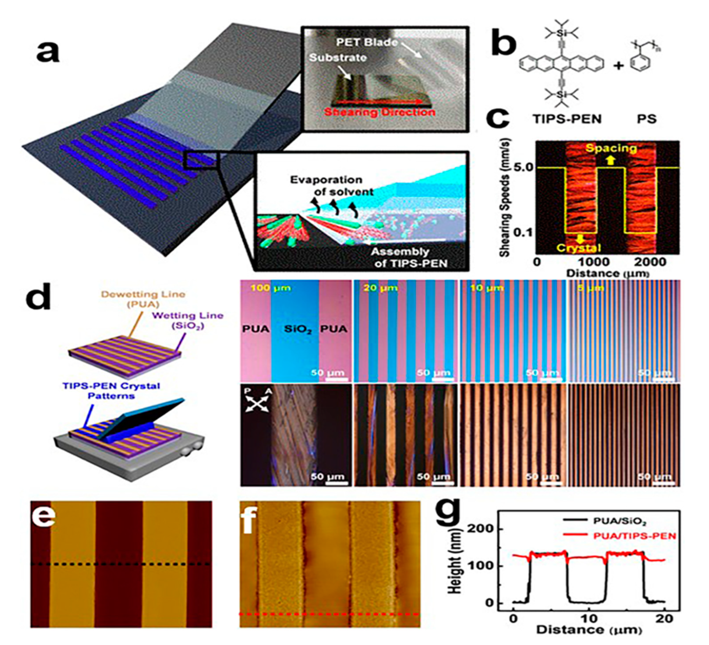 Nanomaterials 13 02087 g009