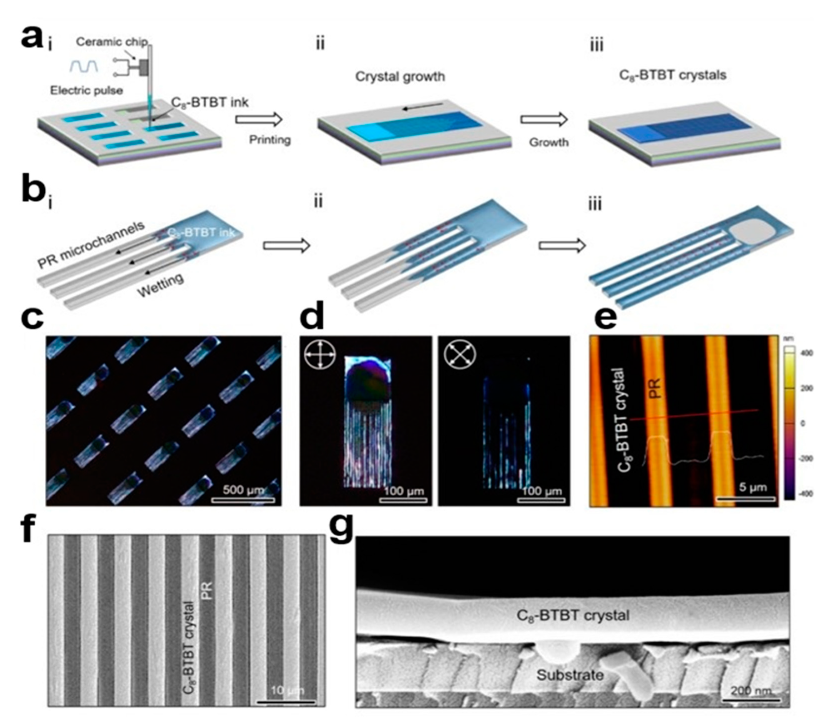 Nanomaterials 13 02087 g011