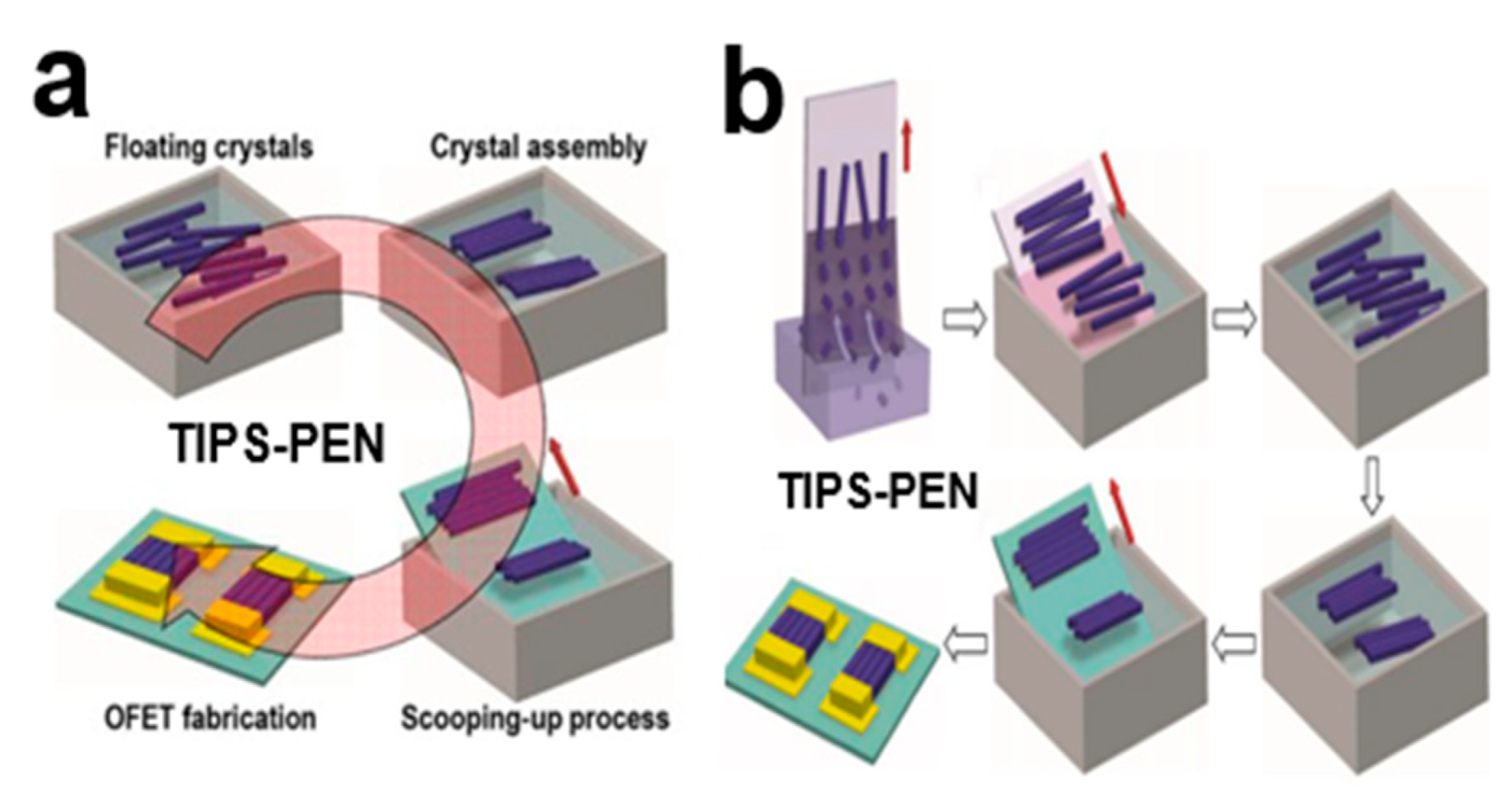 Nanomaterials 13 02087 g013