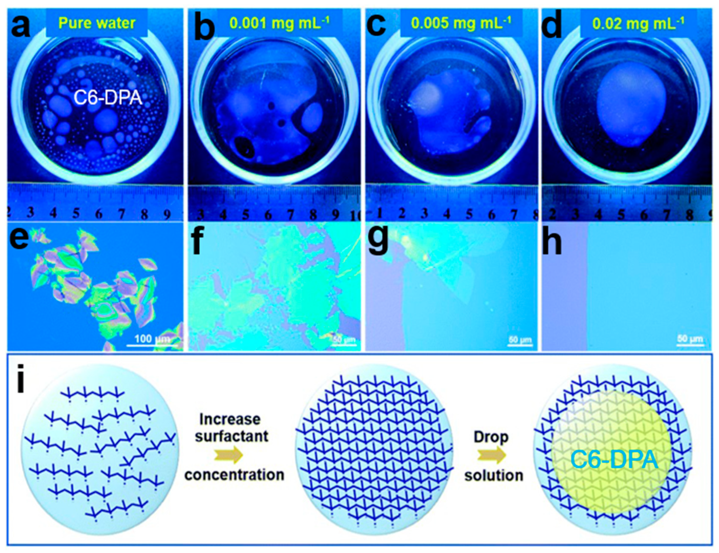 Nanomaterials 13 02087 g026