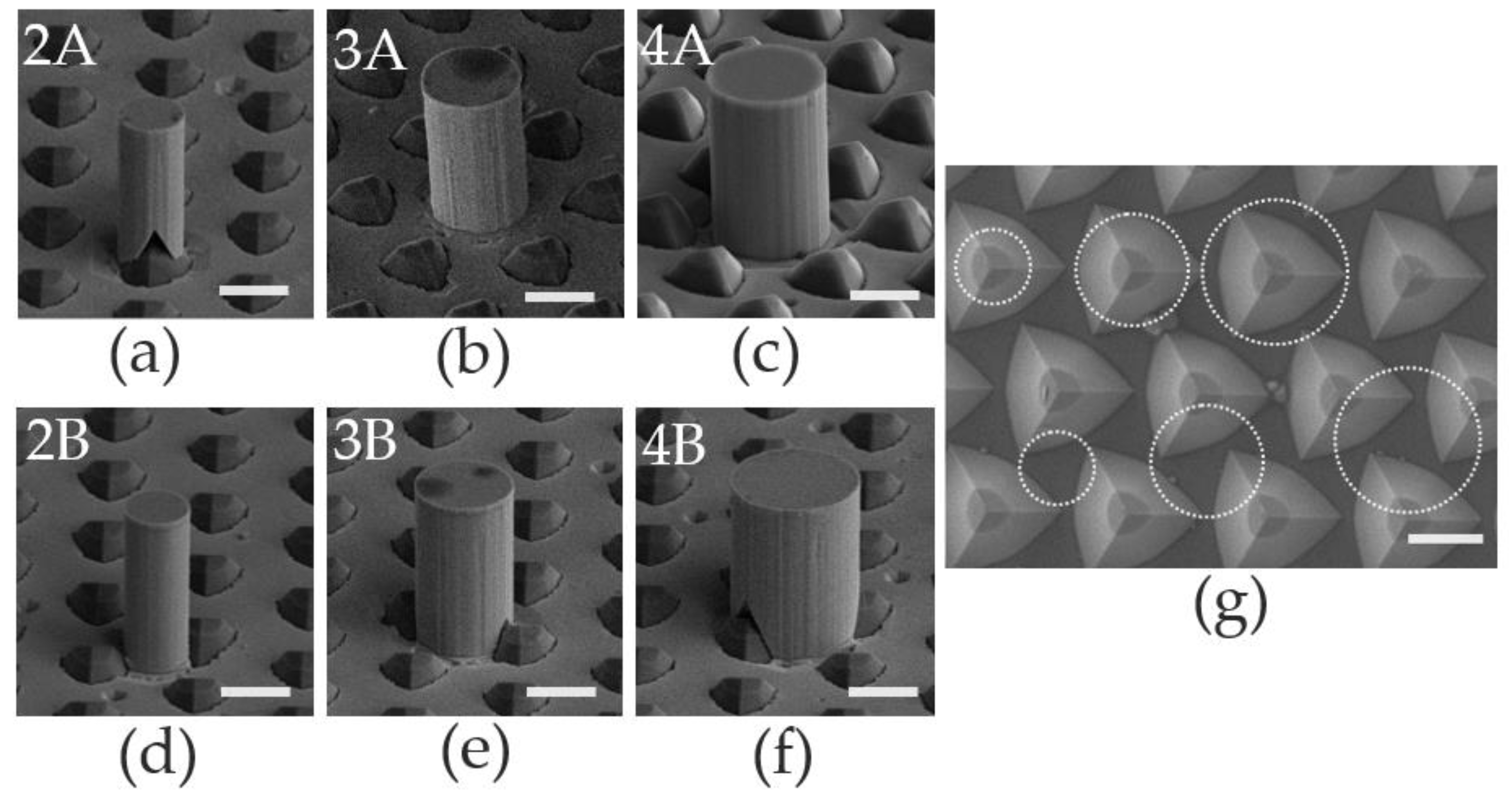 Nanomaterials 13 02228 g002
