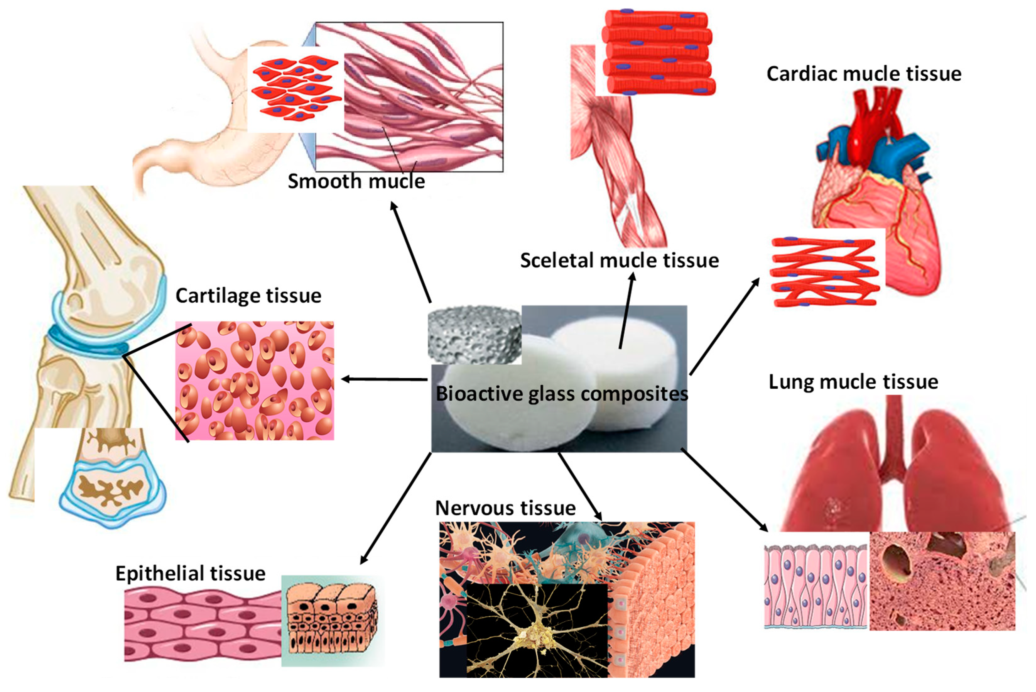Nanomaterials 13 02287 g004 Nanomaterials 13 02287 g004