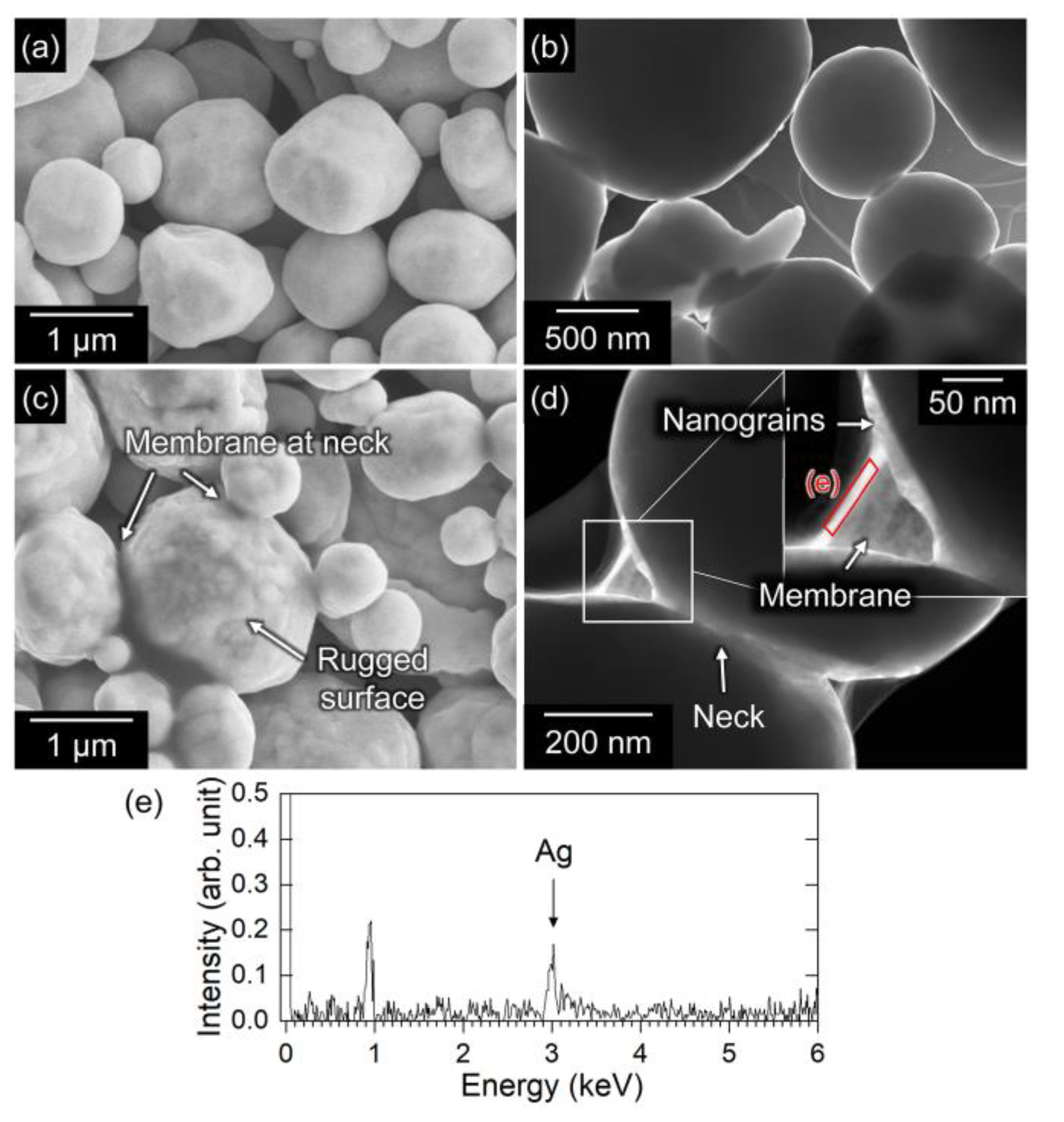 Nanomaterials 13 02292 g008
