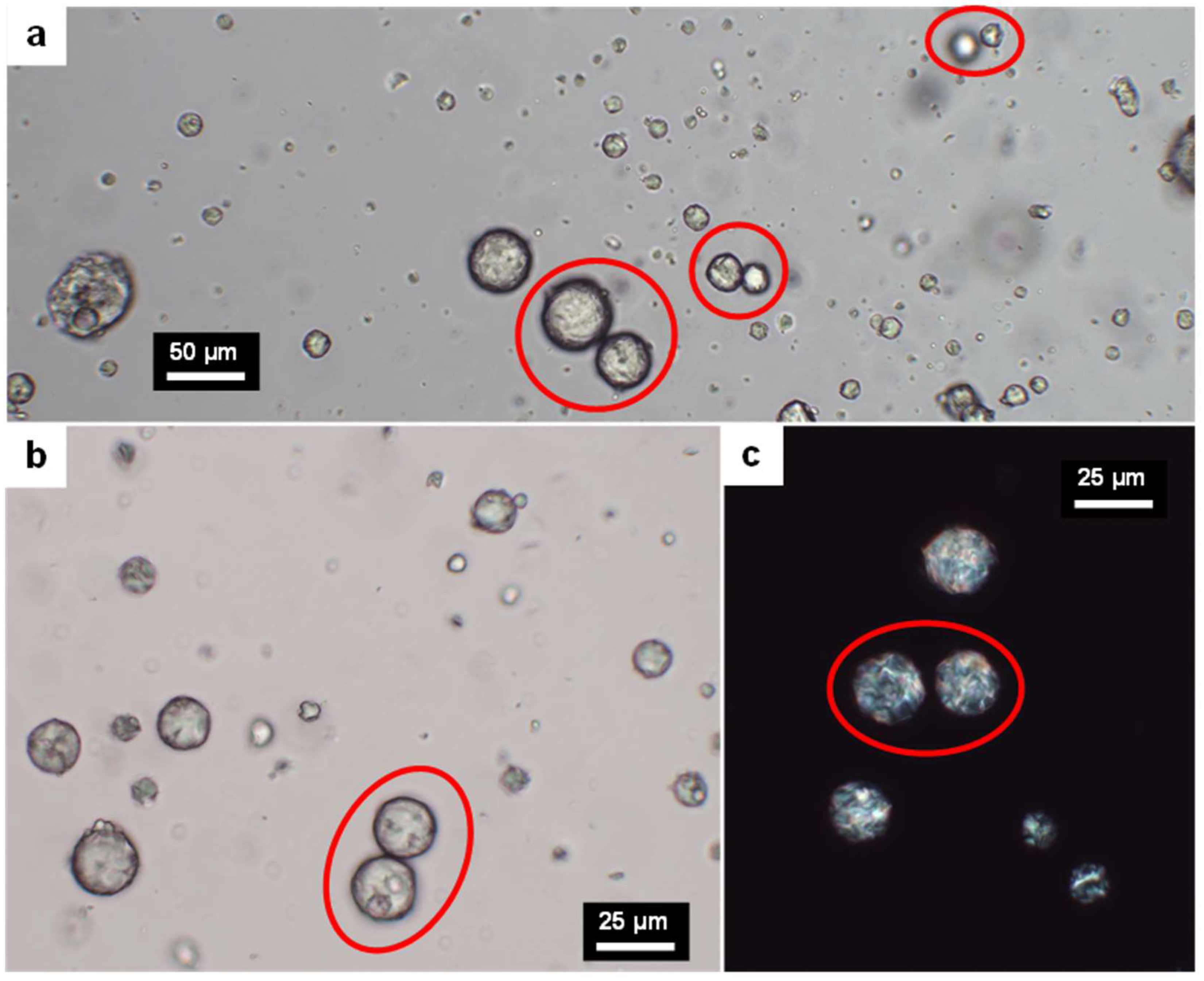 Nanomaterials 13 02353 g002