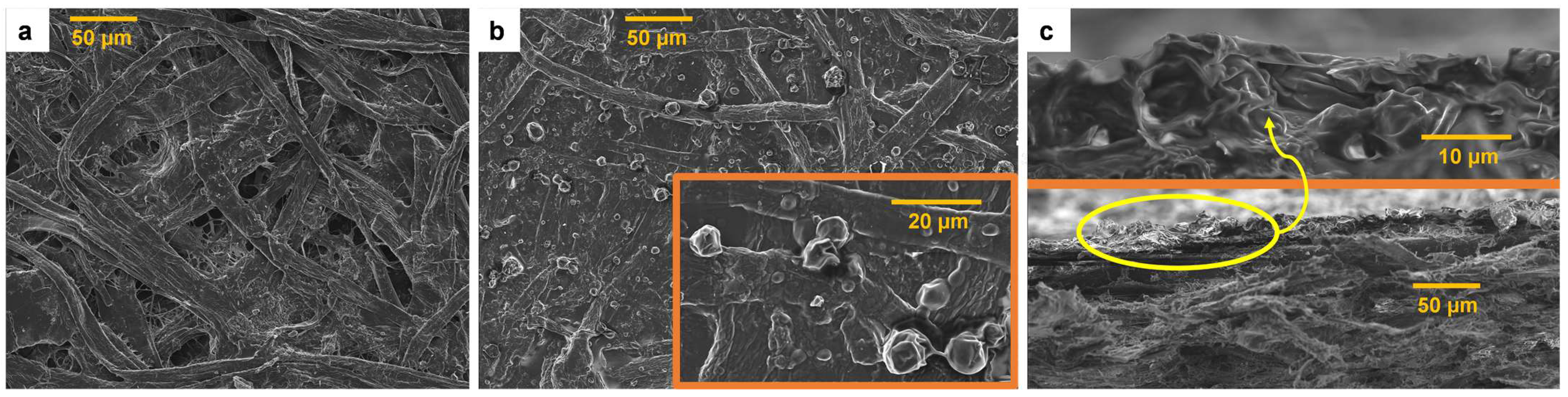Nanomaterials 13 02353 g005