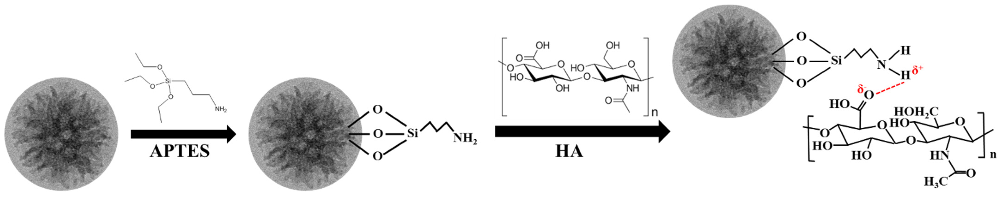 Nanomaterials 13 02441 sch001