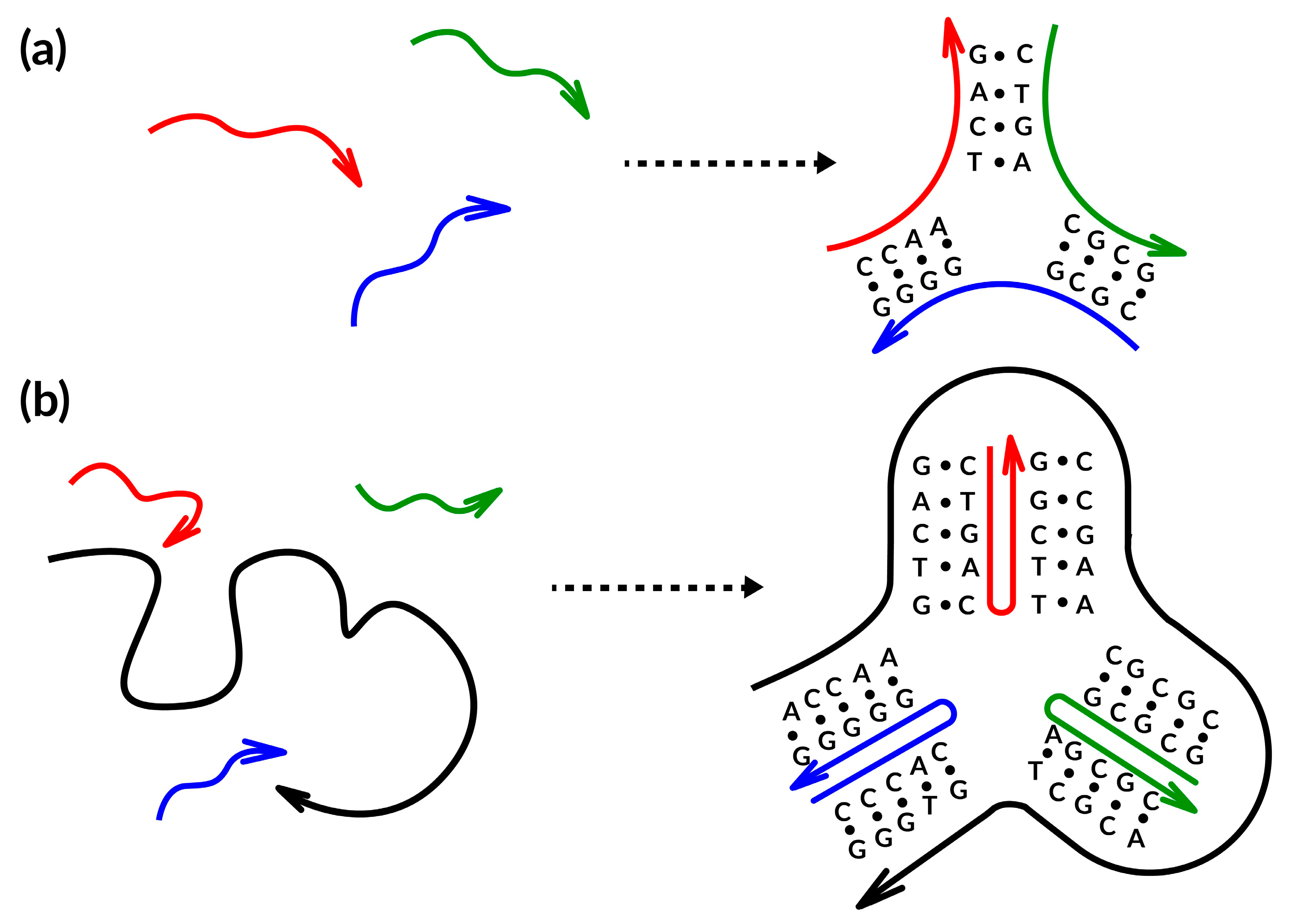 Nanomaterials 13 02449 g002