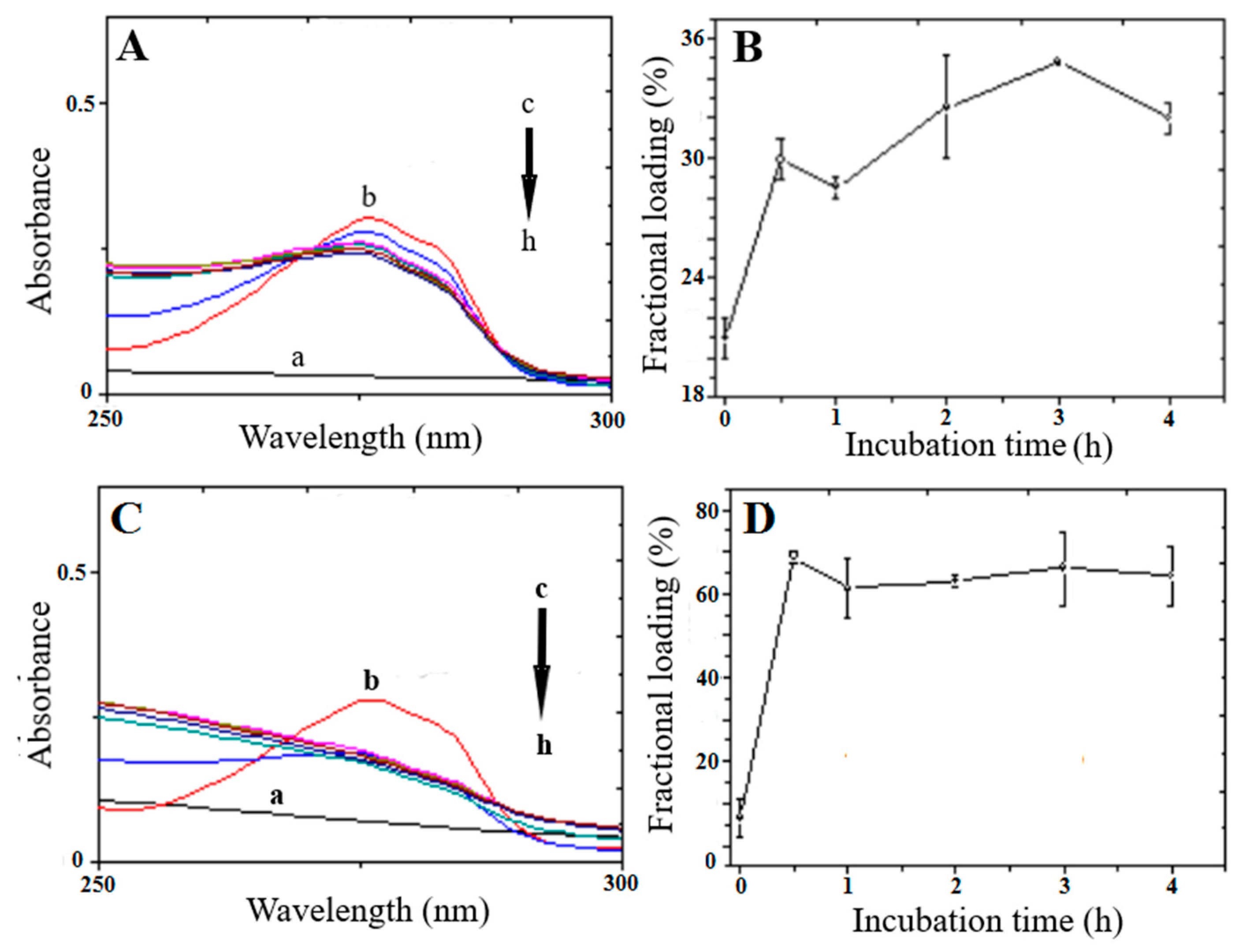 Nanomaterials 13 02709 g004