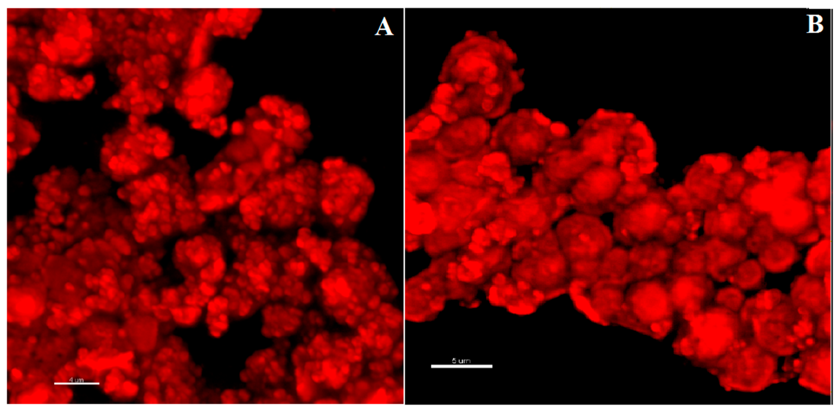 Nanomaterials 13 02709 g008