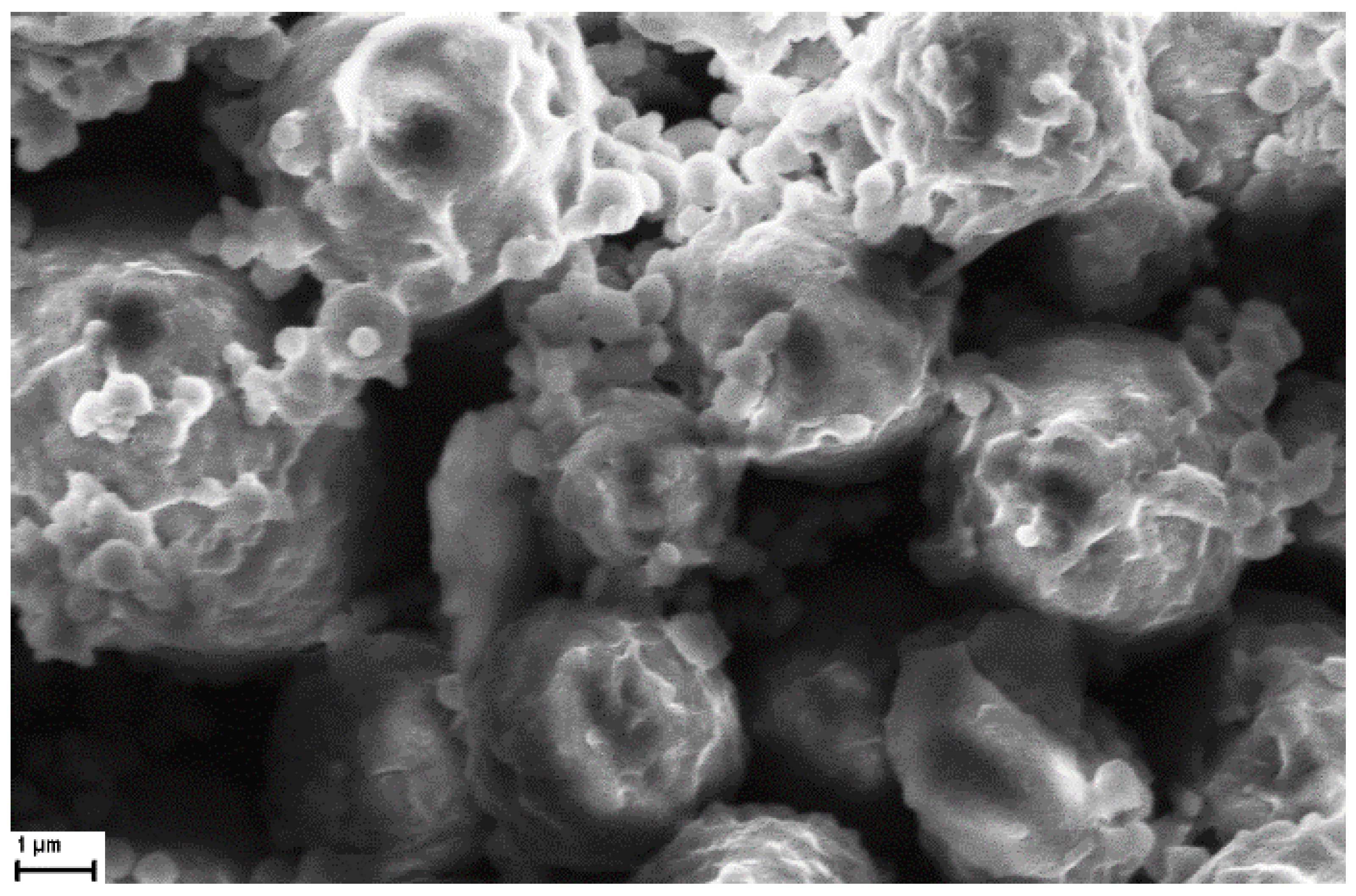 Nanomaterials 13 02709 g009